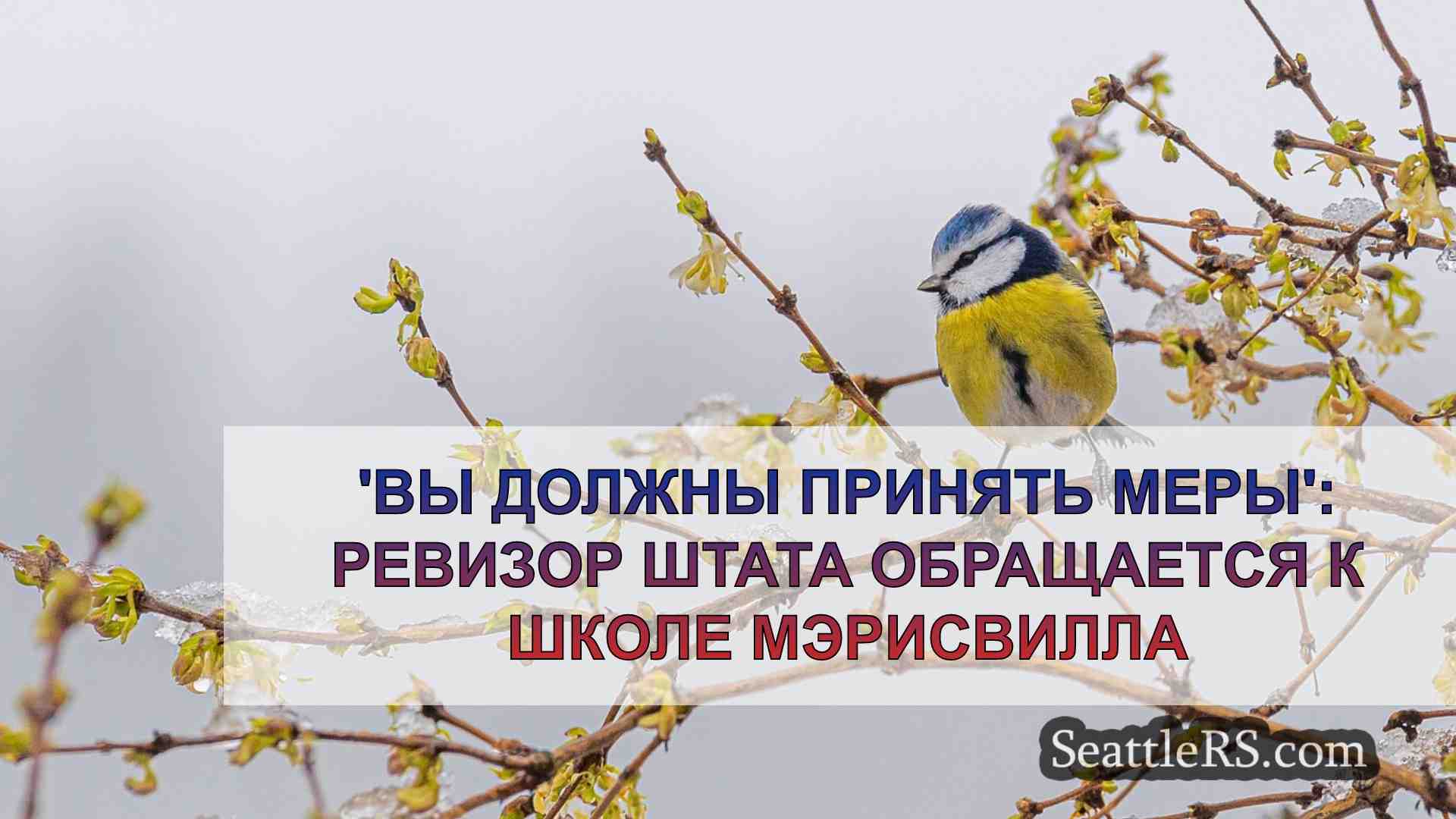Новости Сиэтла SeattleRS