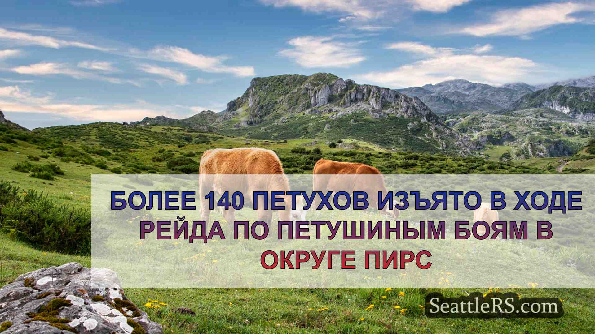 Новости Сиэтла SeattleRS