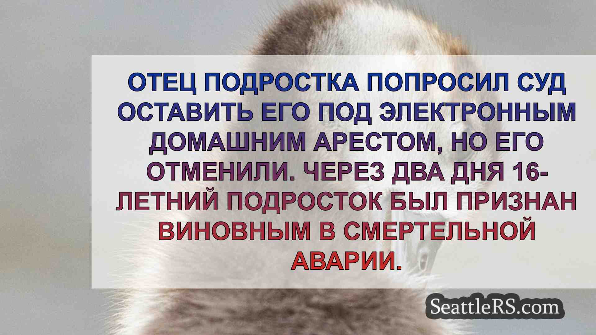 Новости Сиэтла SeattleRS