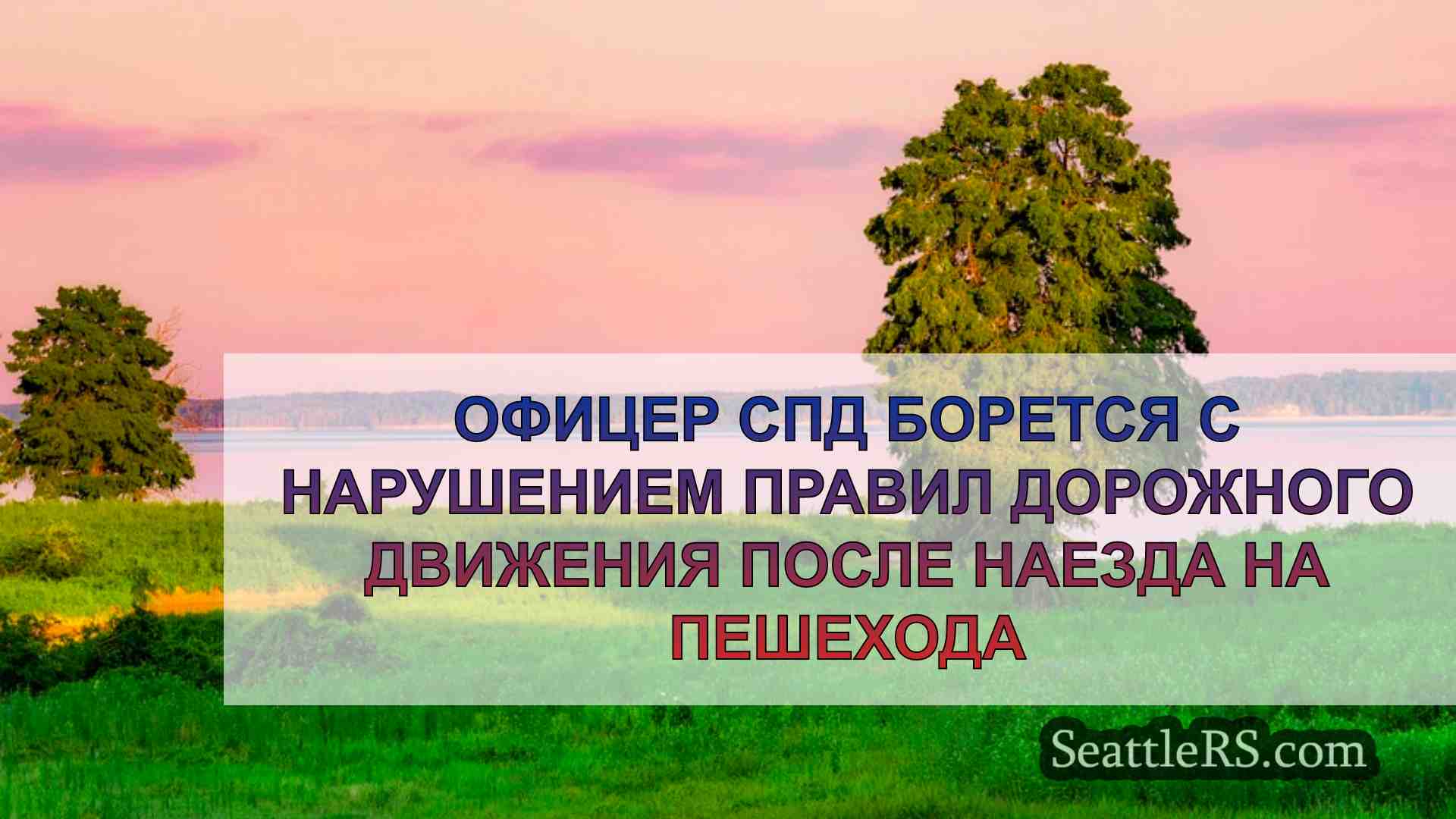 Офицер полиции СПД борется с нарушением