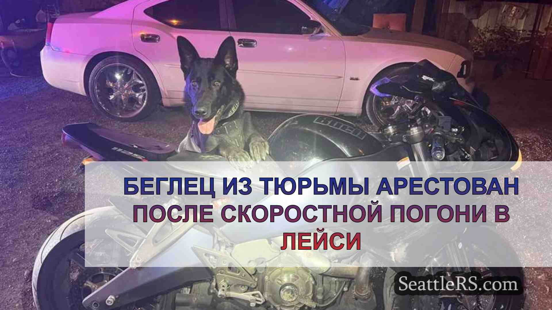 Беглец из тюрьмы арестован после