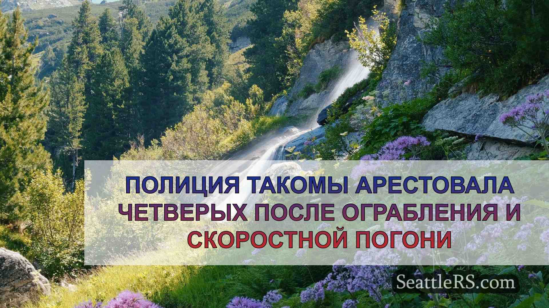 Полиция Такомы арестовала четверых