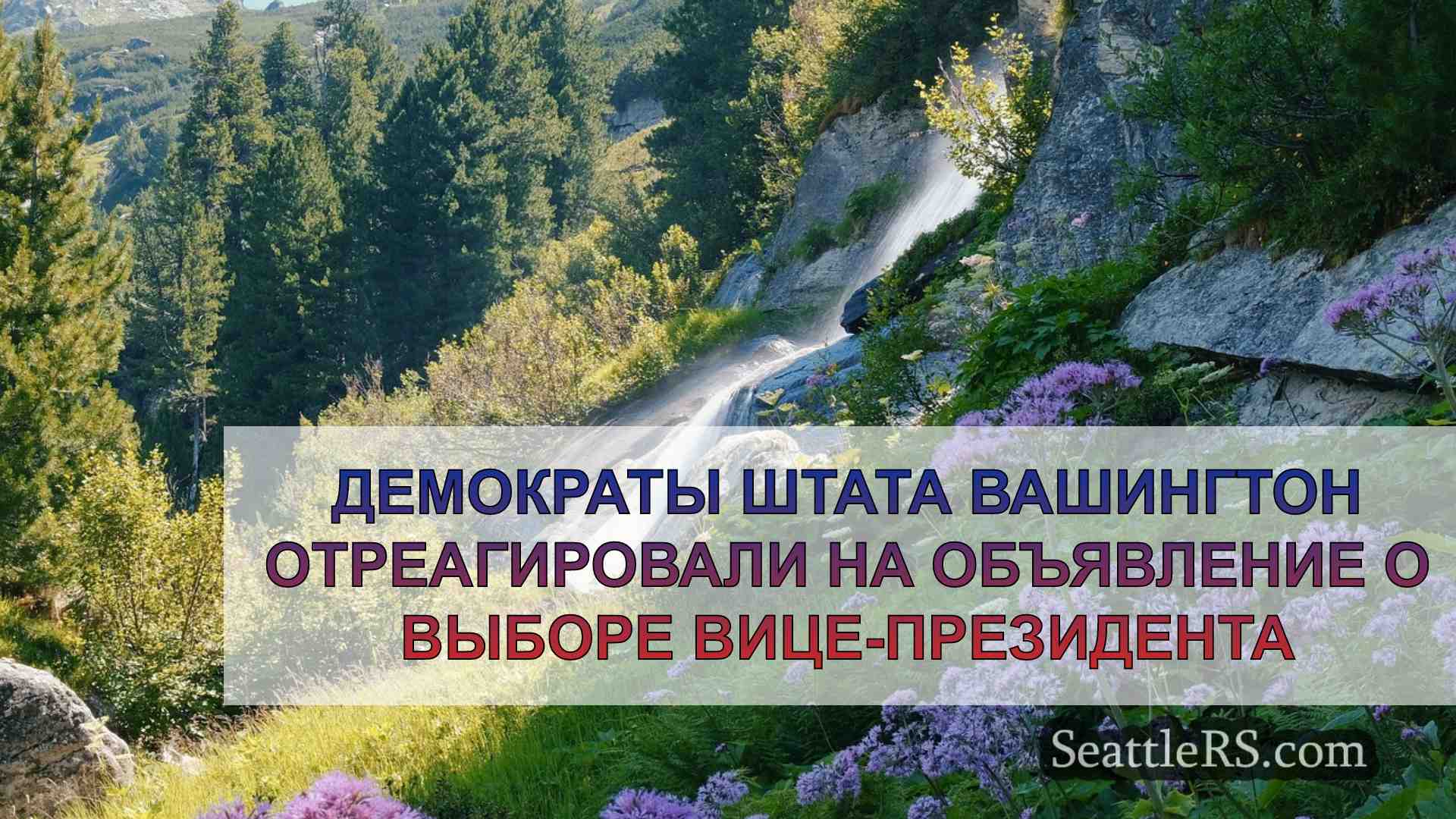 Демократы штата Вашингтон отреагировали