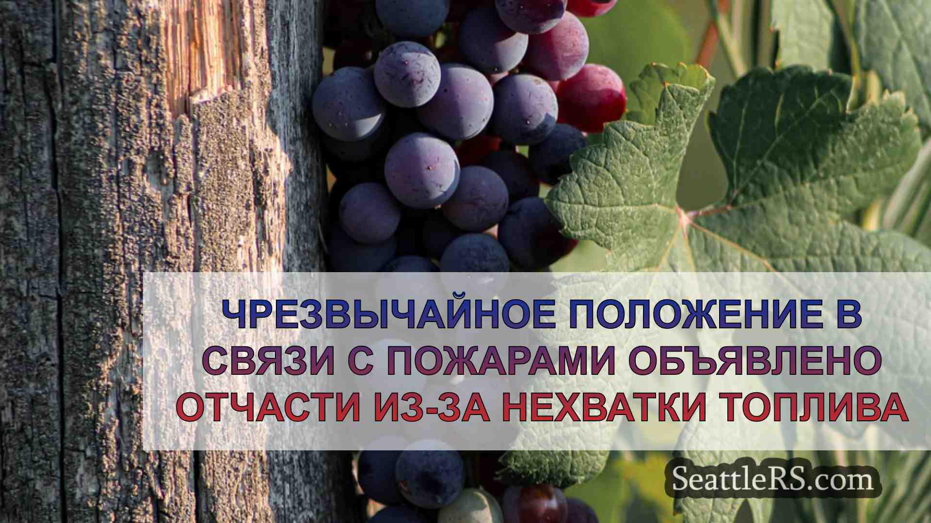 Чрезвычайное положение в связи с