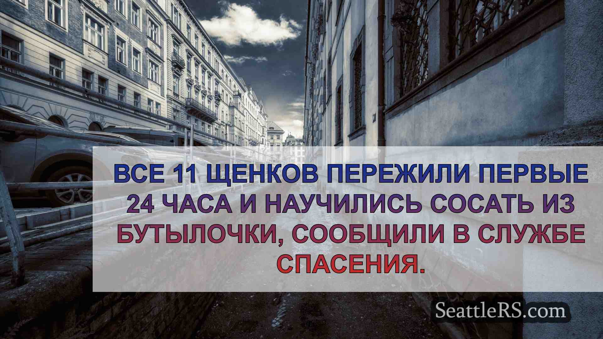 Новости Сиэтла SeattleRS
