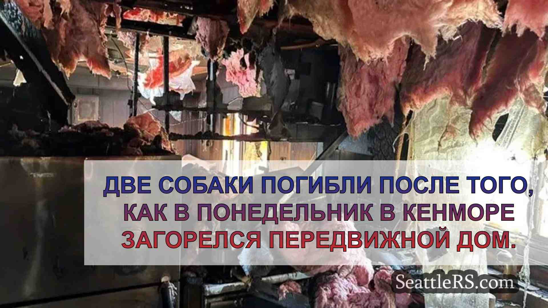 Две собаки погибли в результате пожара