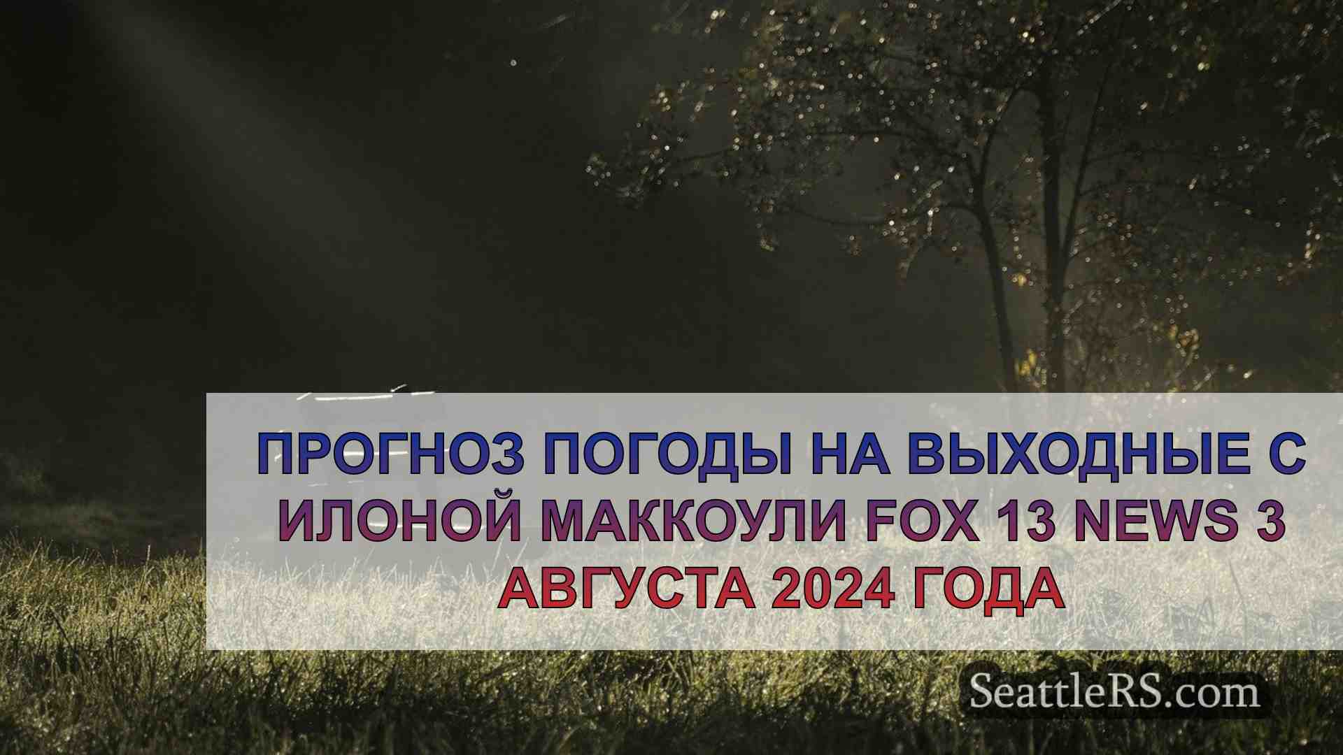 В районе Сиэтла много солнца,