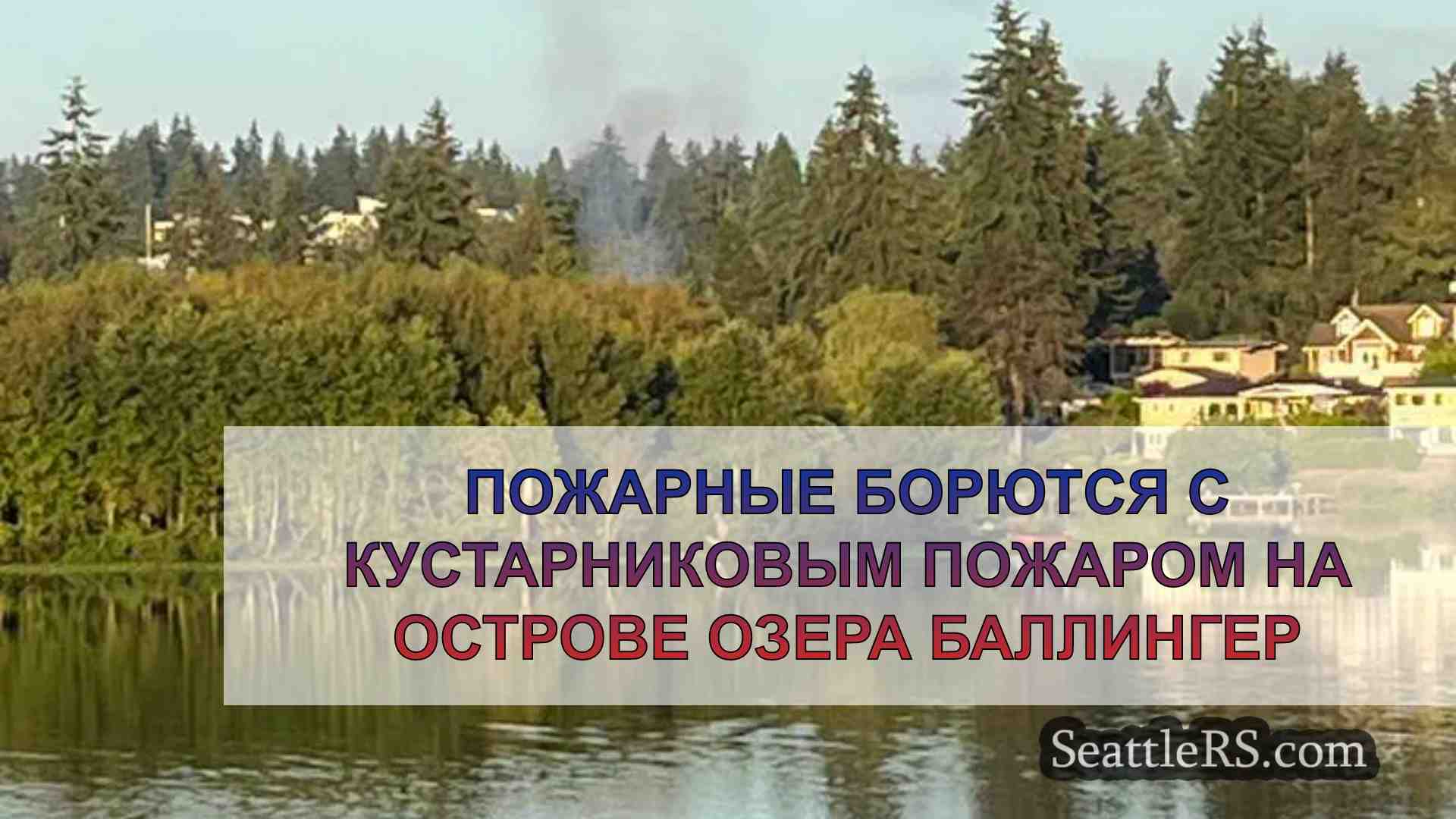 Пожарные борются с кустарниковым