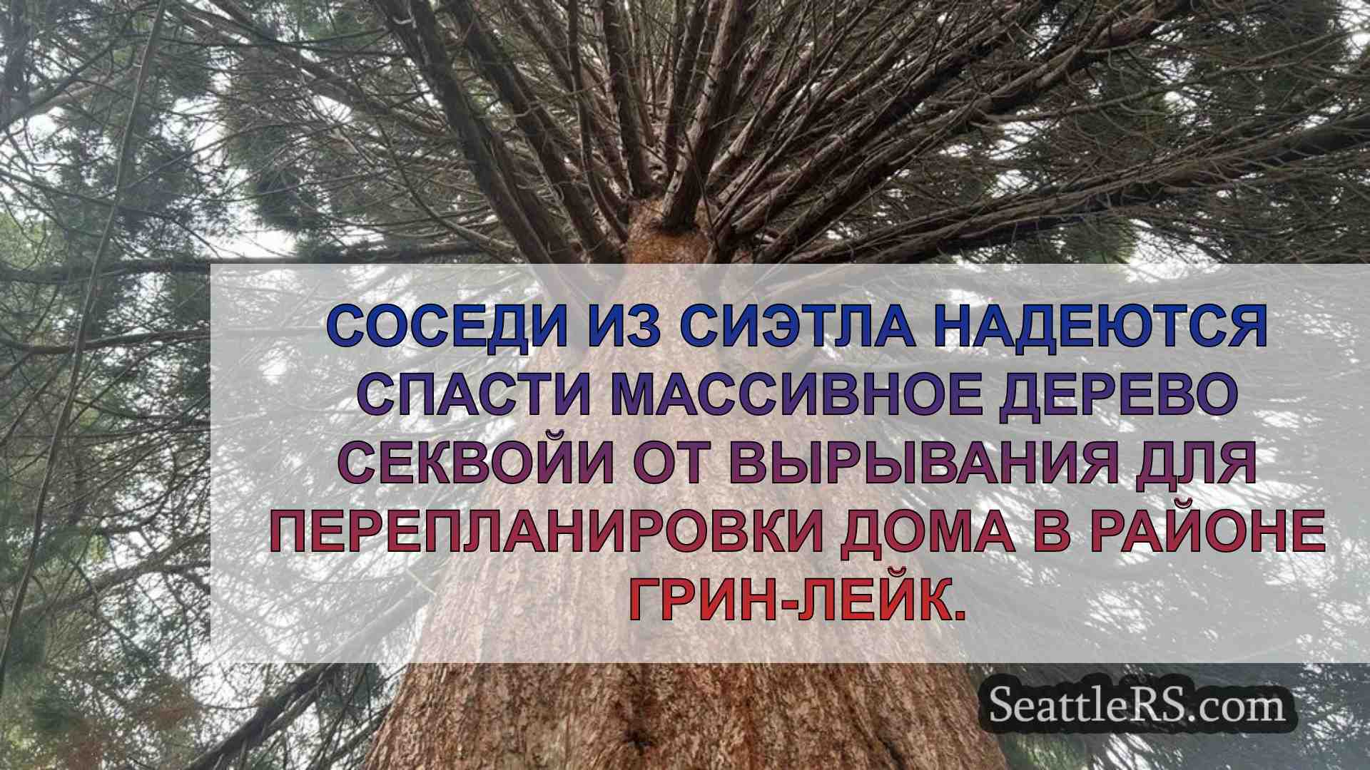 Общественность соберется в поддержку