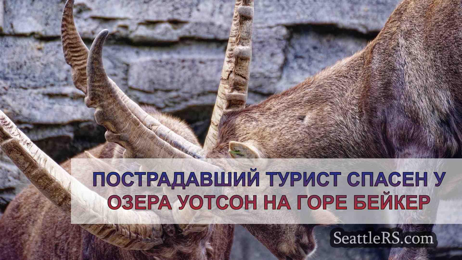 Новости Сиэтла SeattleRS