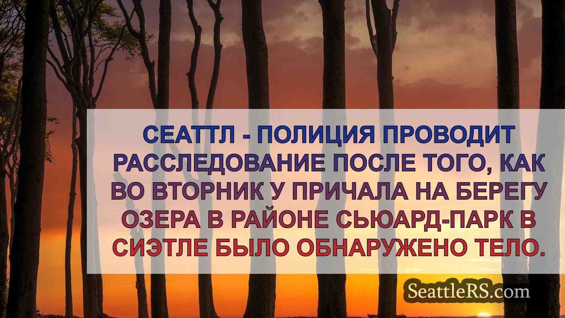 Тело найдено возле парка Сьюард в