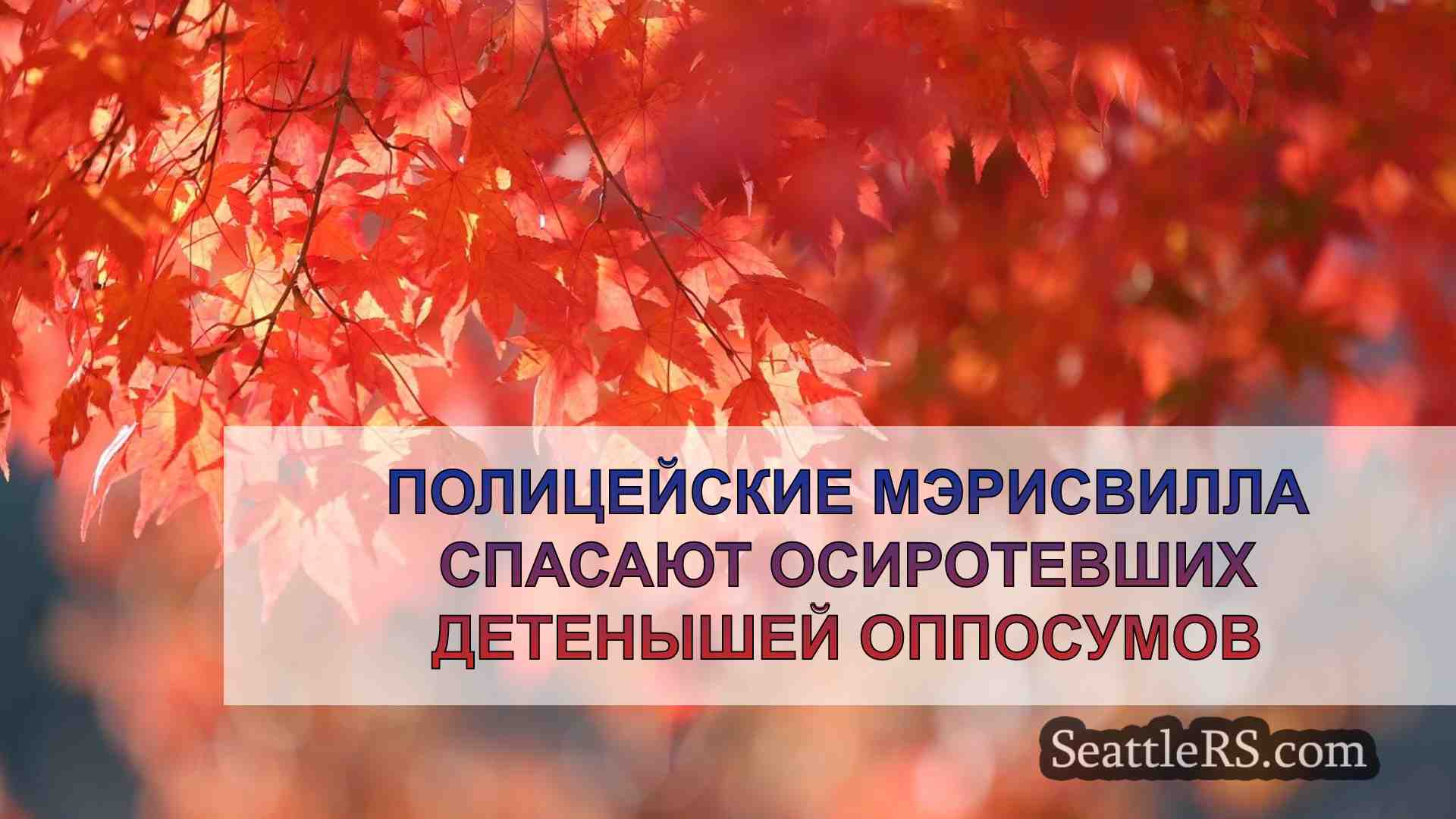Новости Сиэтла SeattleRS