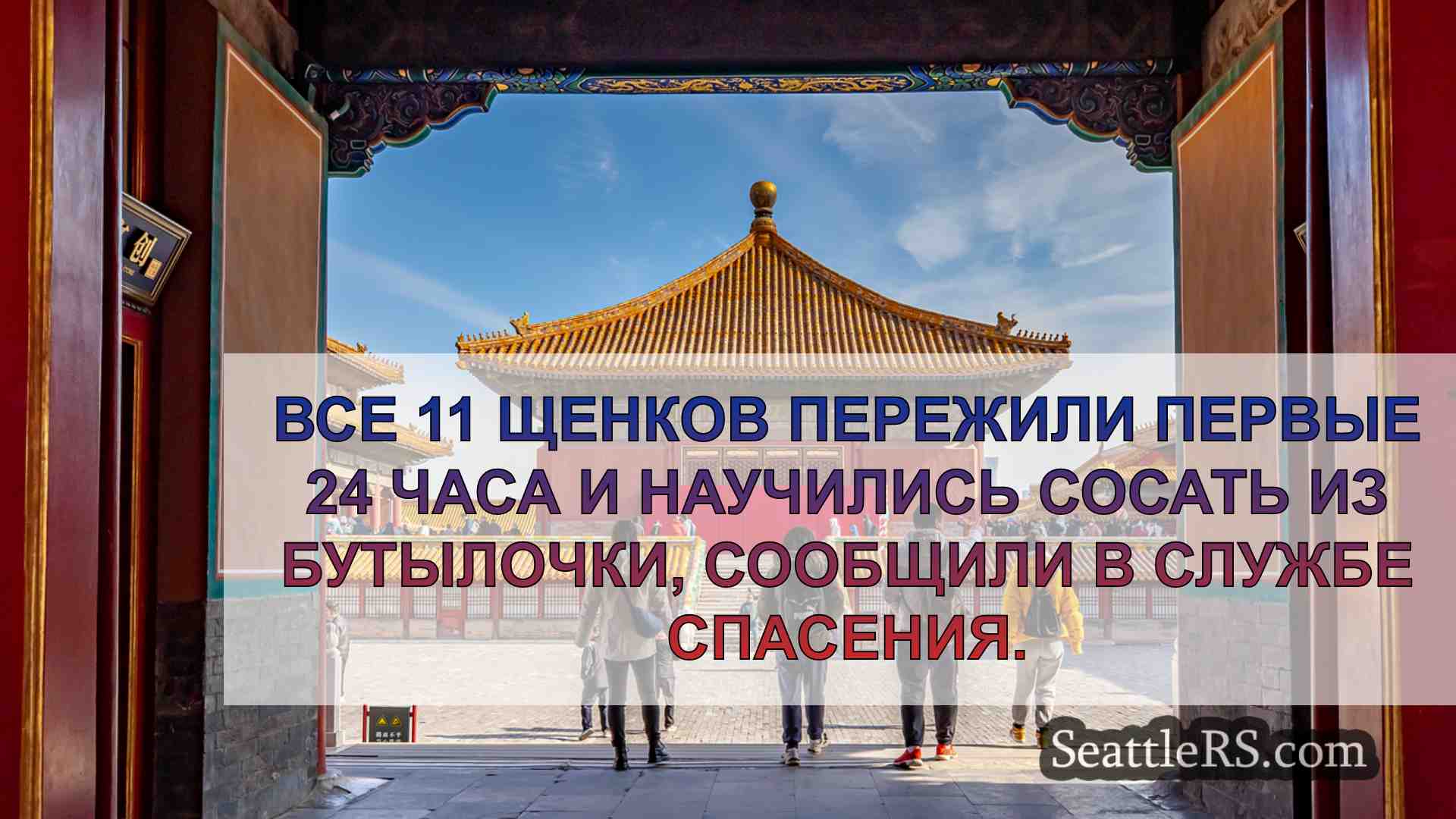 Новости Сиэтла SeattleRS