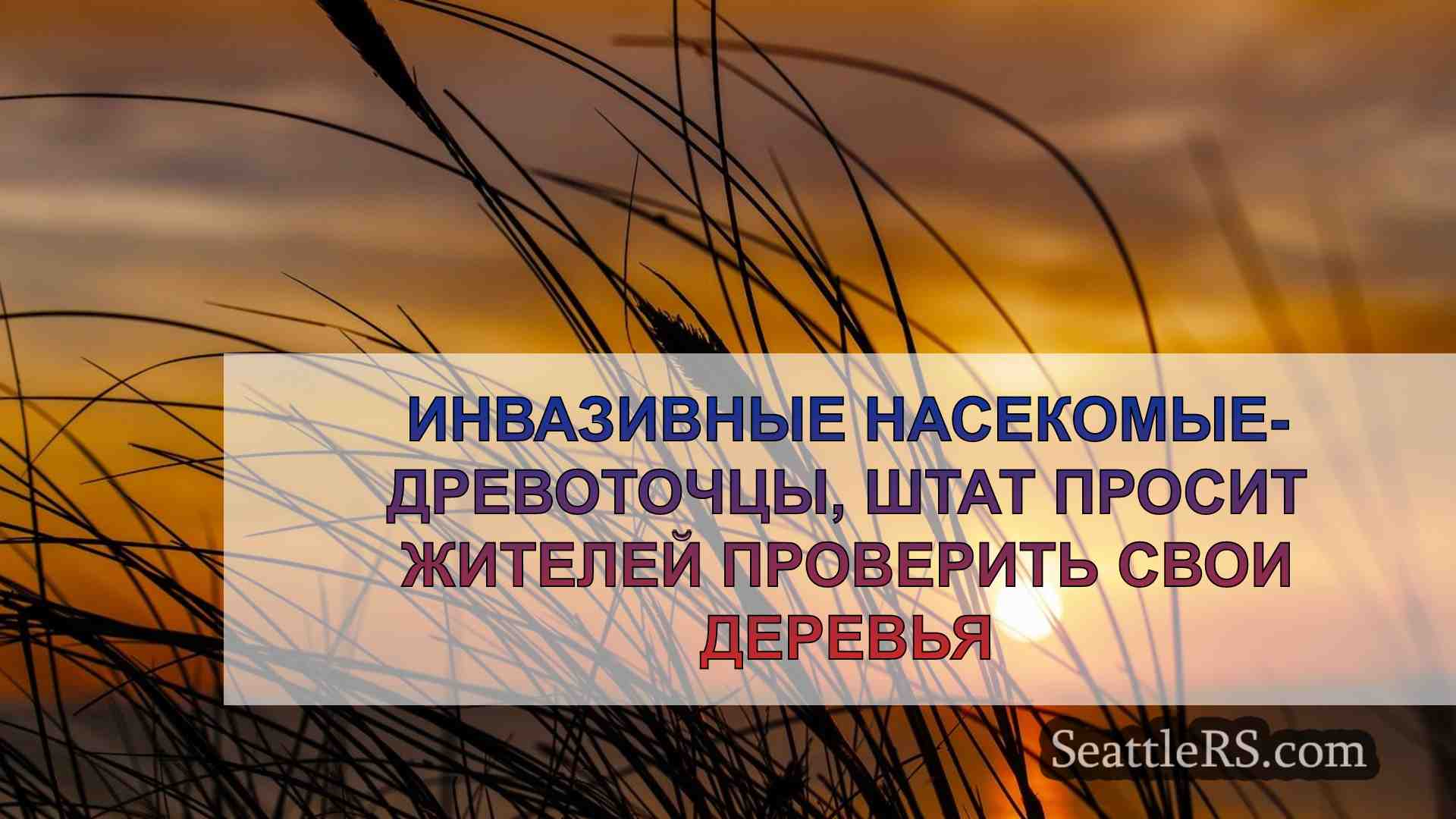 Новости Сиэтла SeattleRS