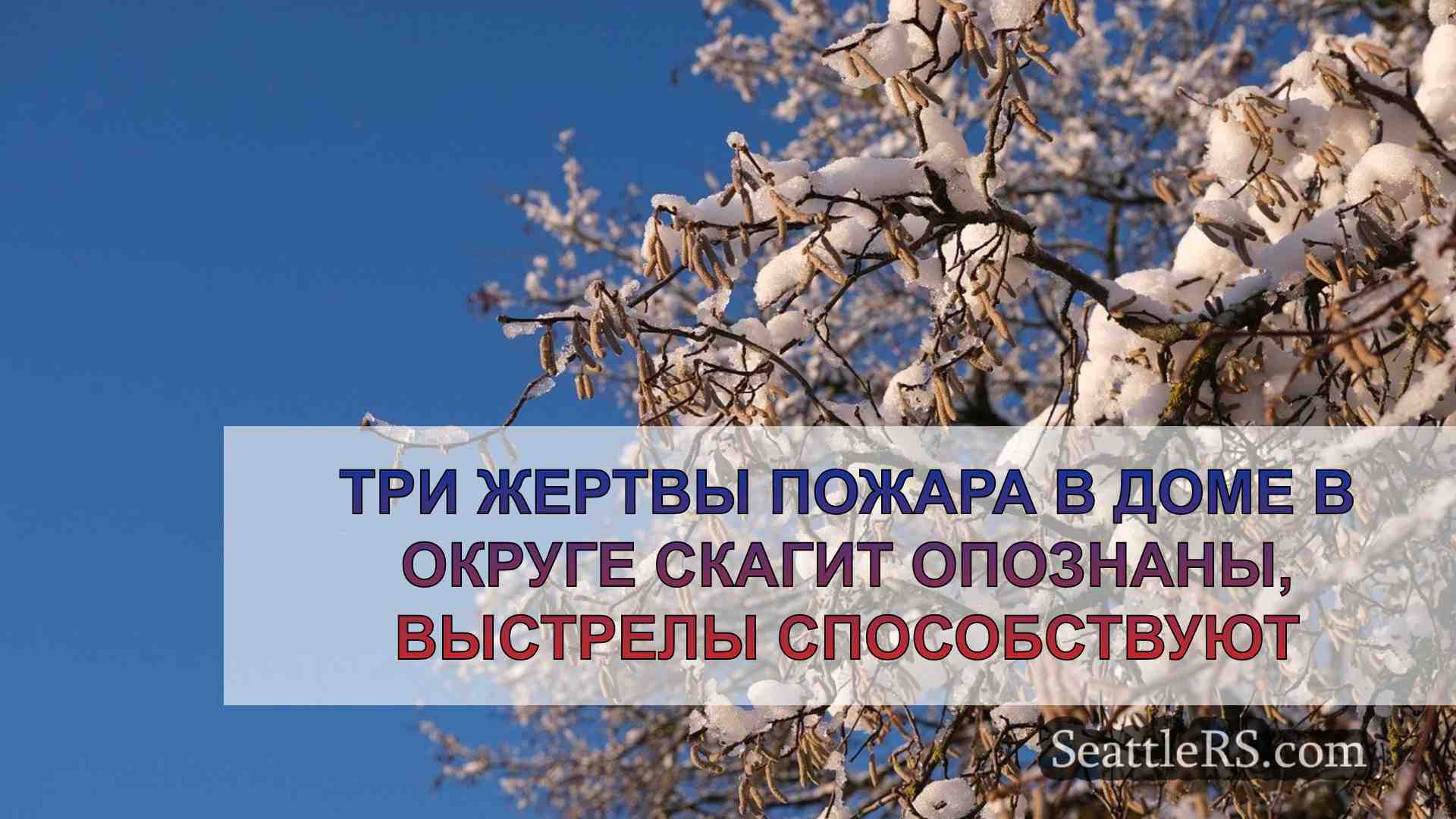 Новости Сиэтла SeattleRS