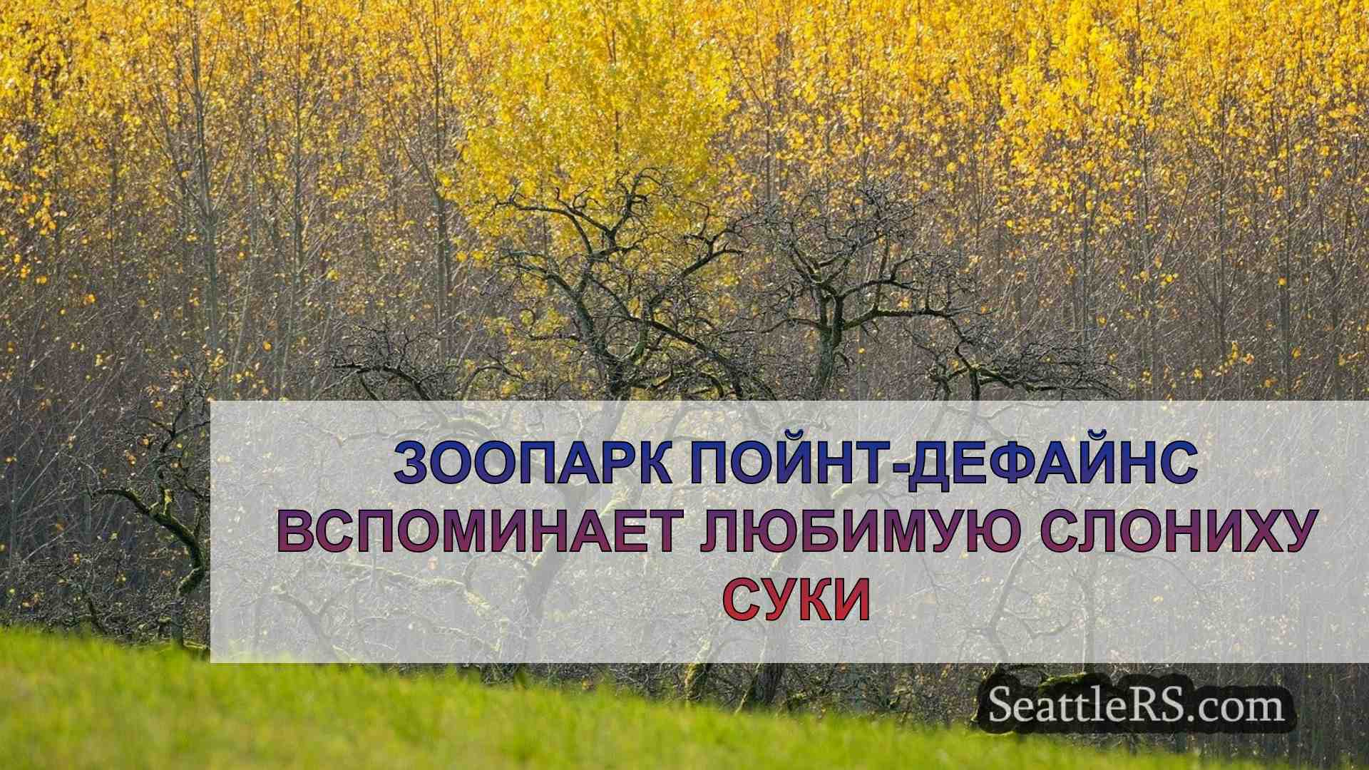 Новости Сиэтла SeattleRS