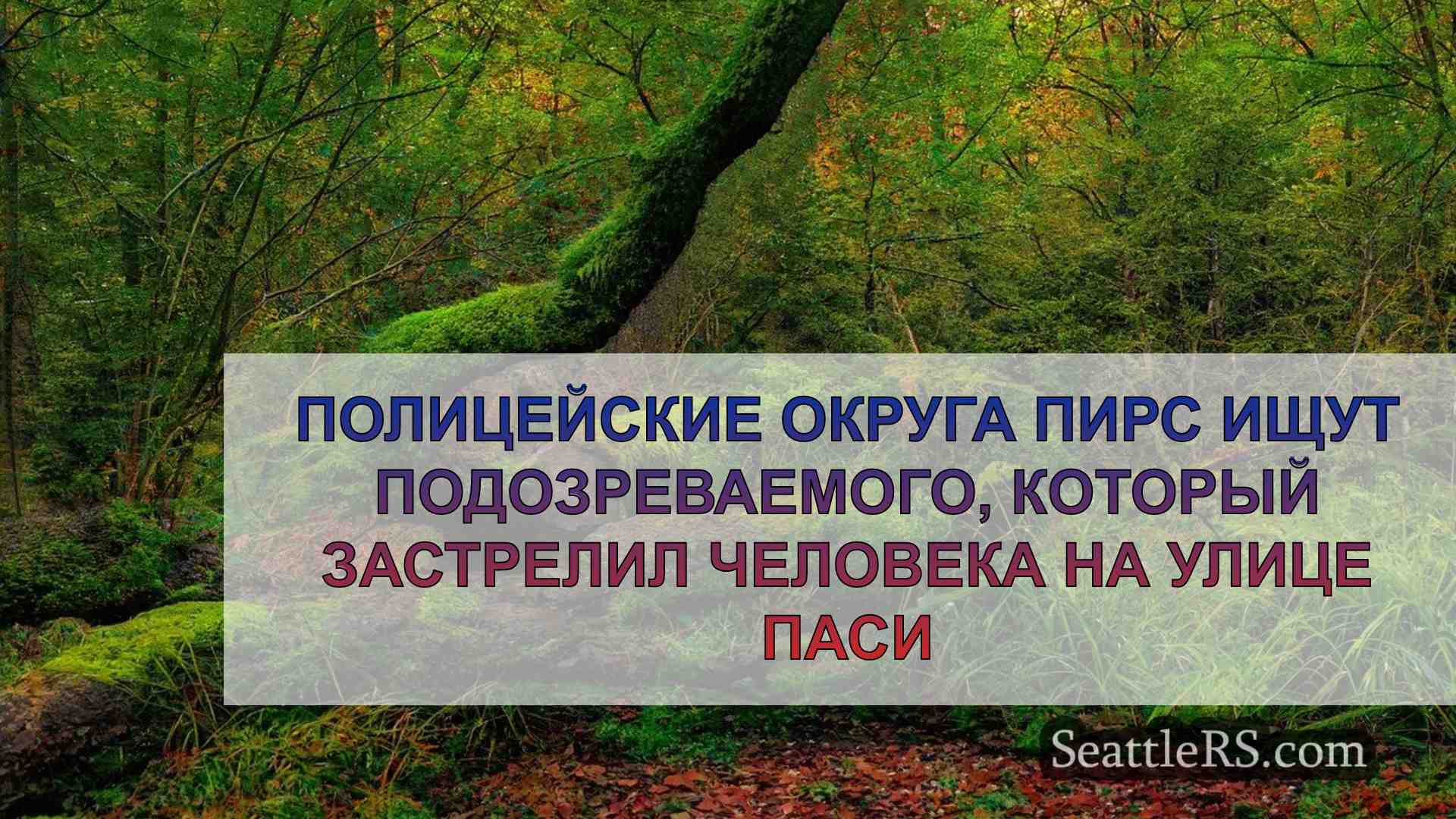 Новости Сиэтла SeattleRS