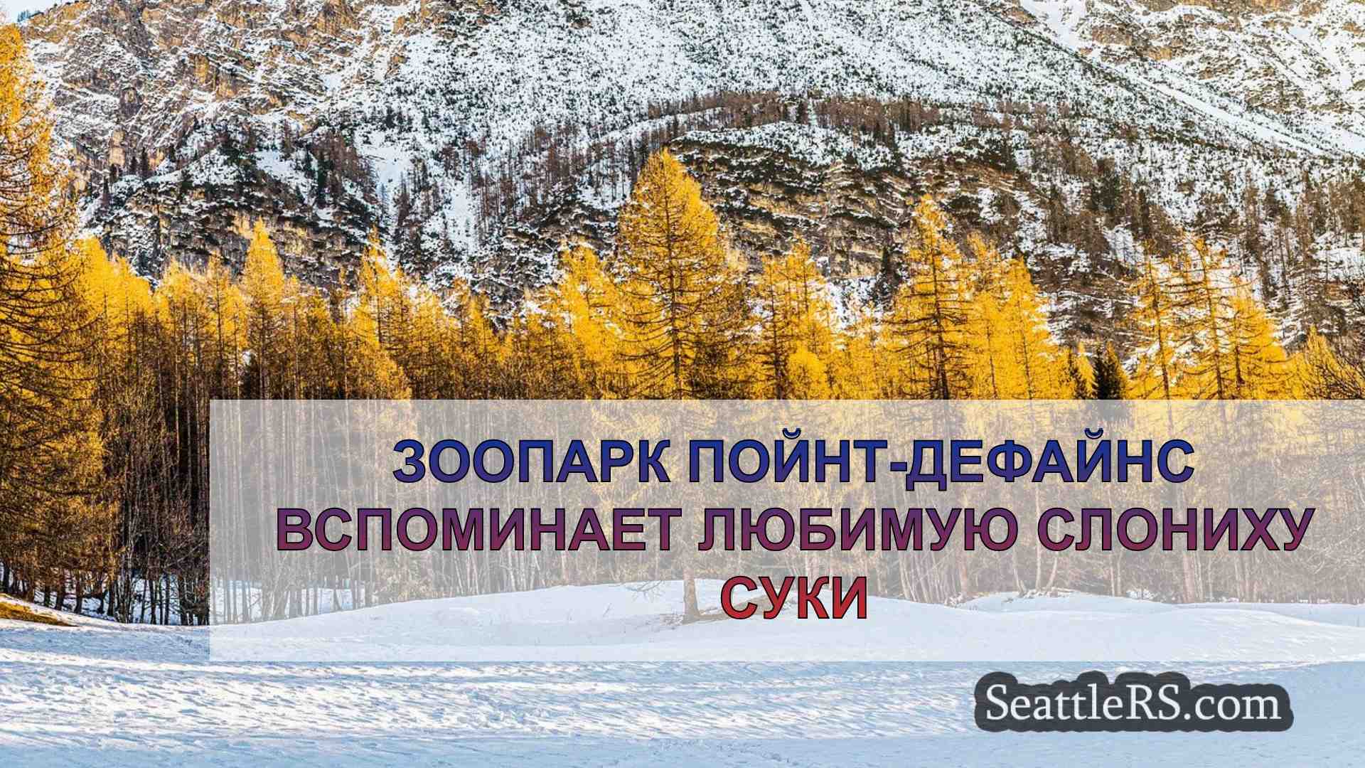 Новости Сиэтла SeattleRS
