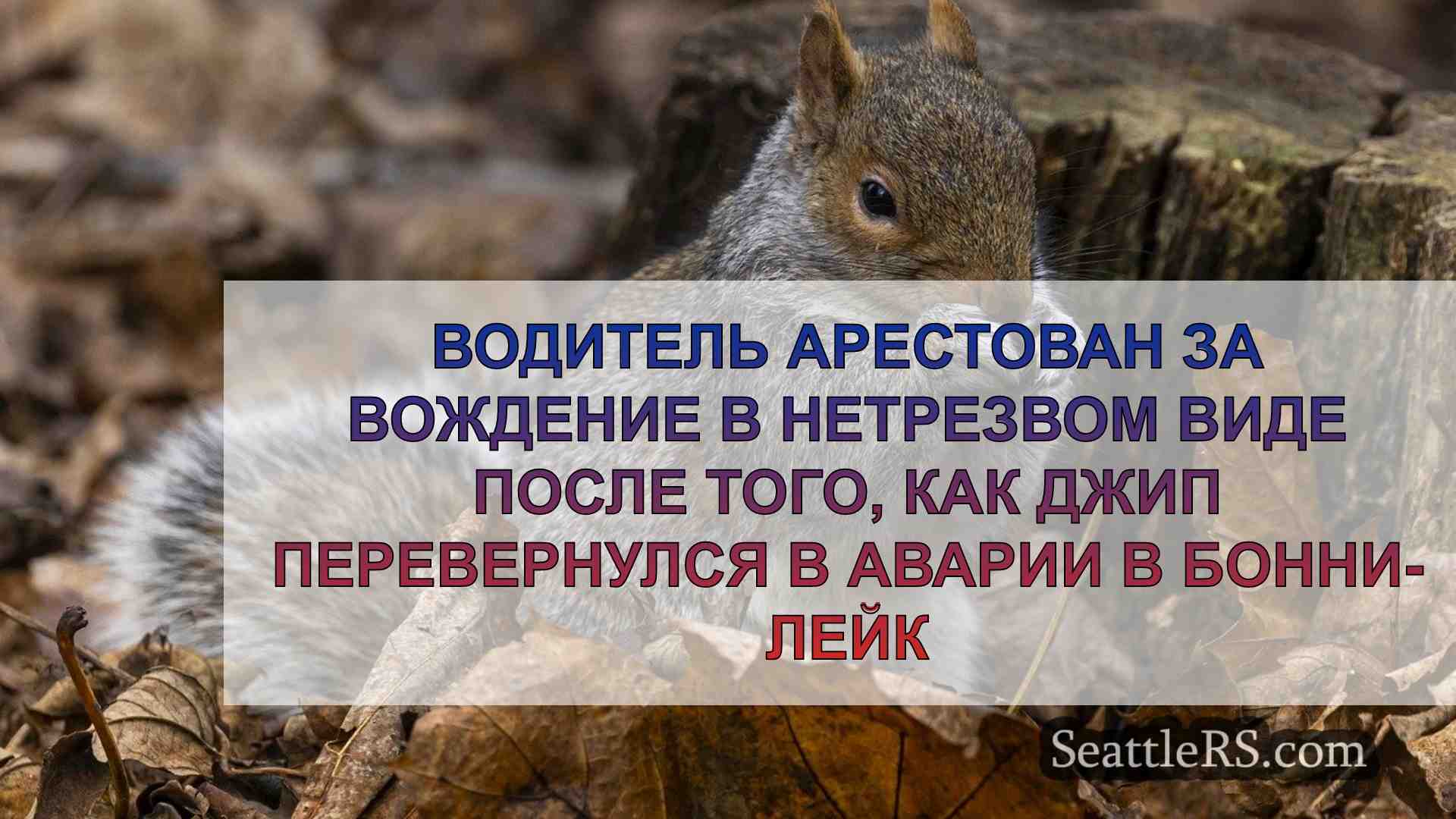 Новости Сиэтла SeattleRS