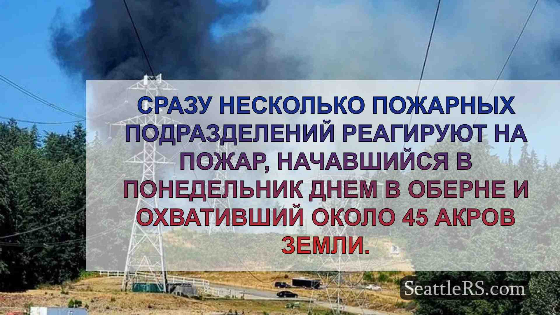 Несколько пожарных подразделений