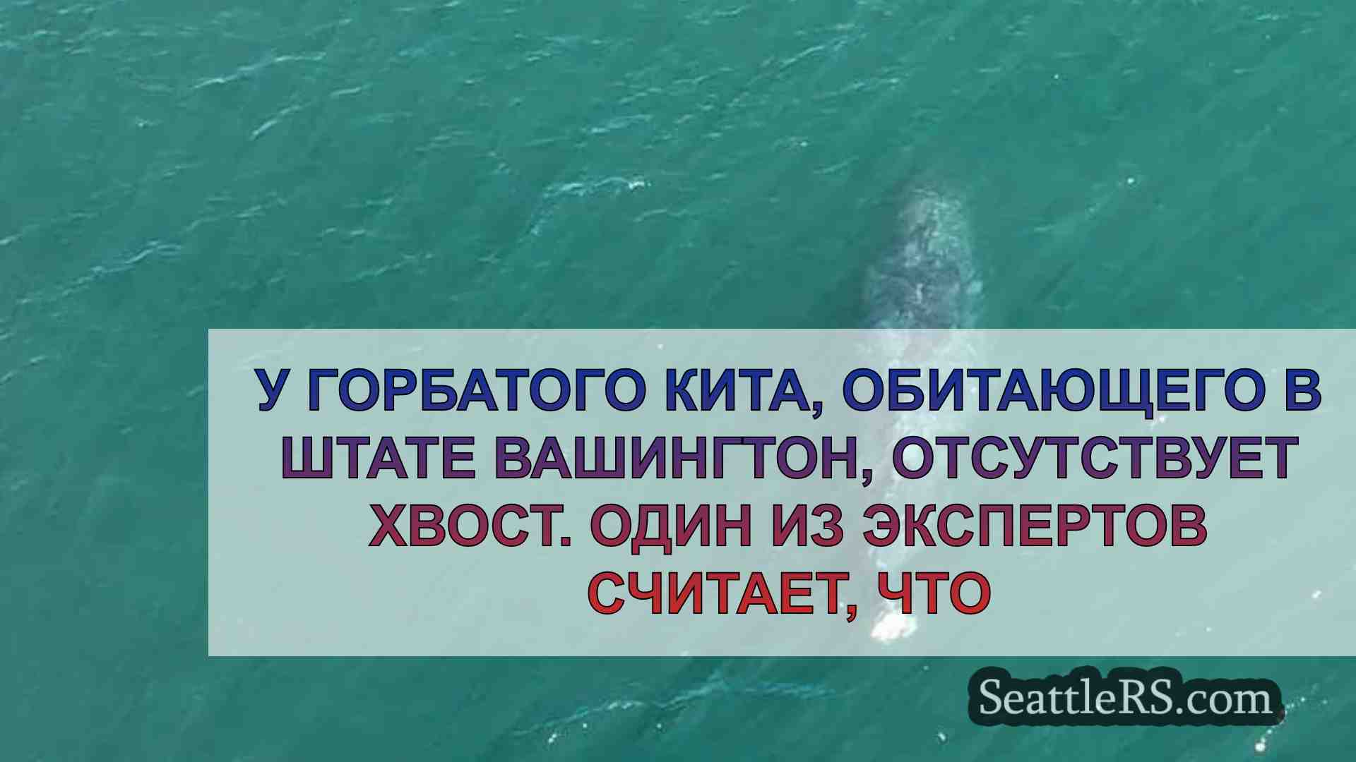 Новости Сиэтла SeattleRS