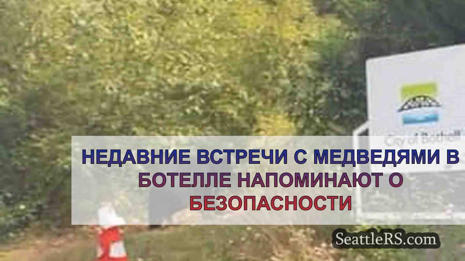 Недавние встречи с медведями в Ботелле