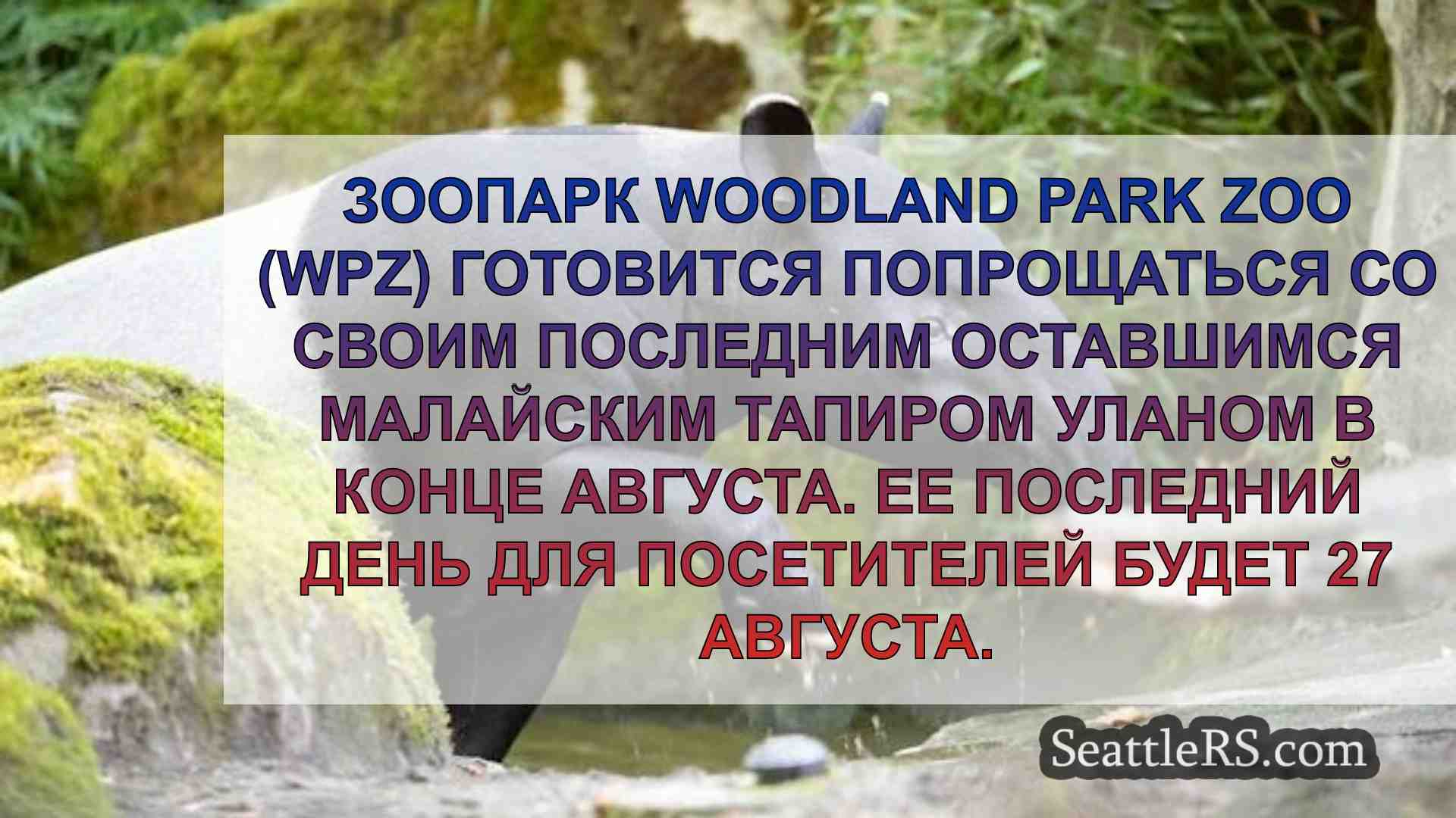 Новости Сиэтла SeattleRS