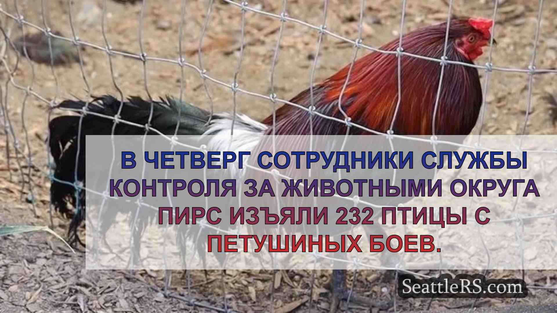 Новости Сиэтла SeattleRS