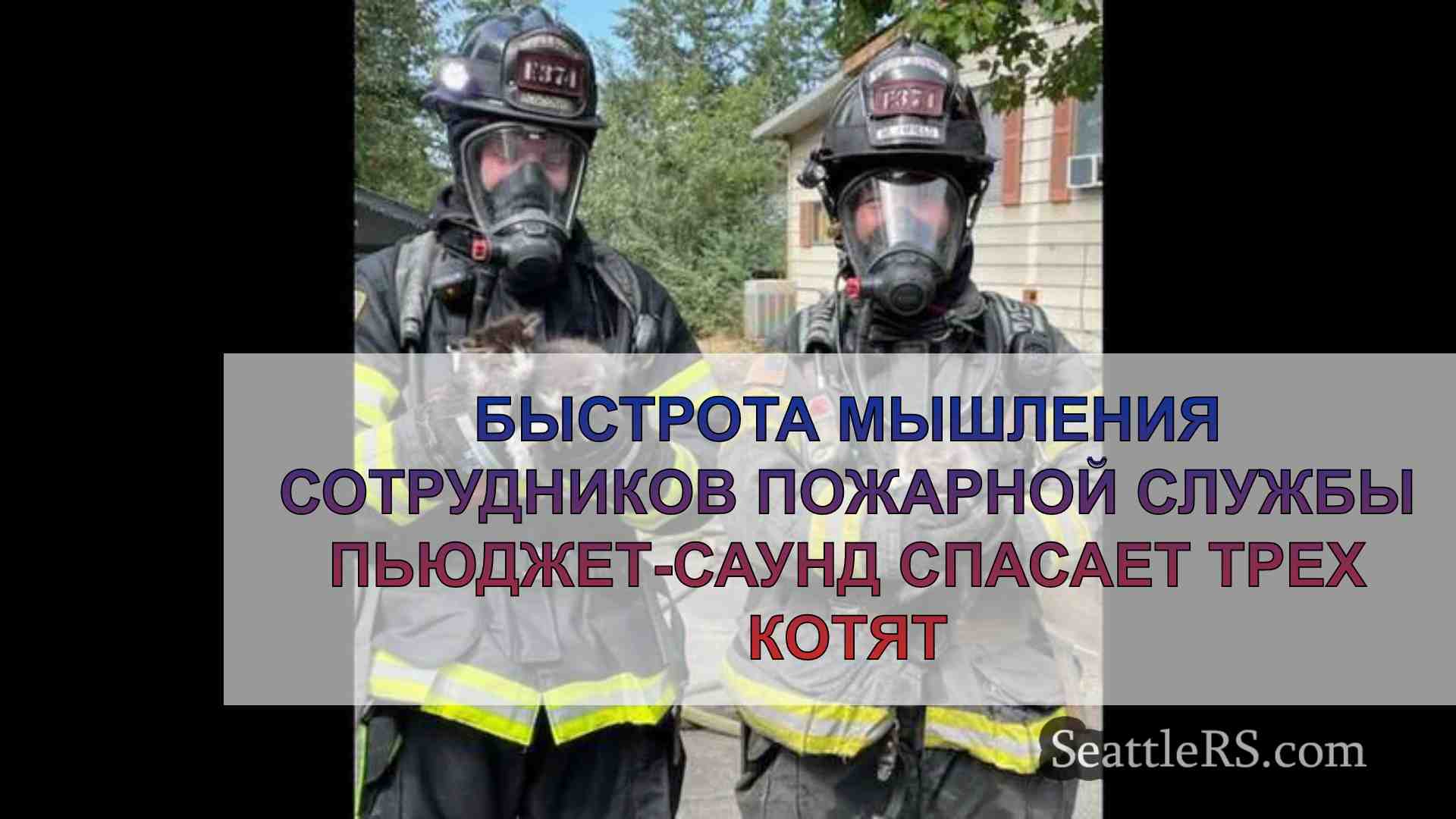 Быстрота мышления сотрудников пожарной