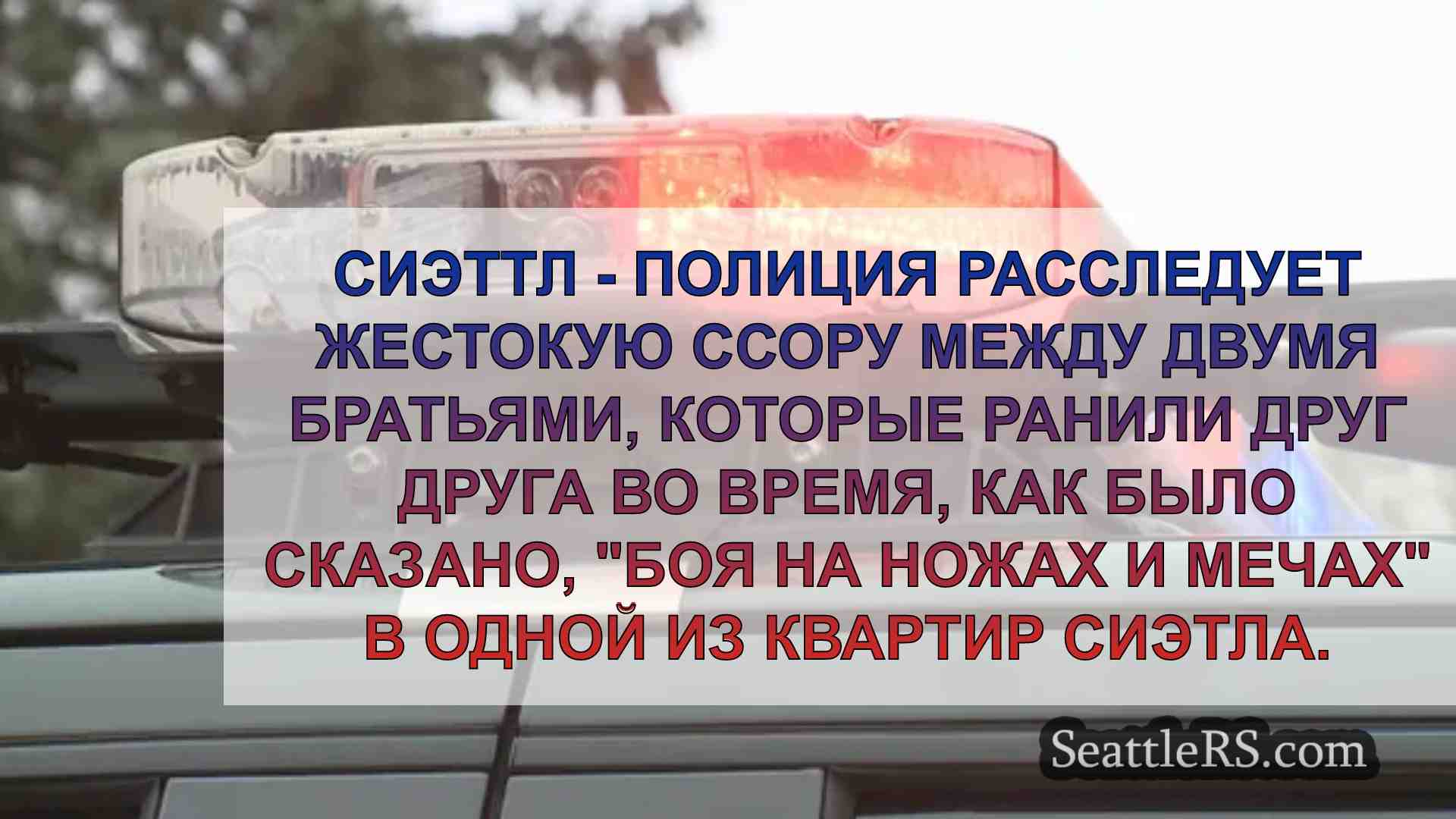 Братья арестованы после боя на ножах и