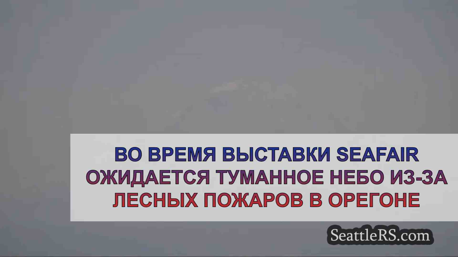 Во время выставки Seafair ожидается