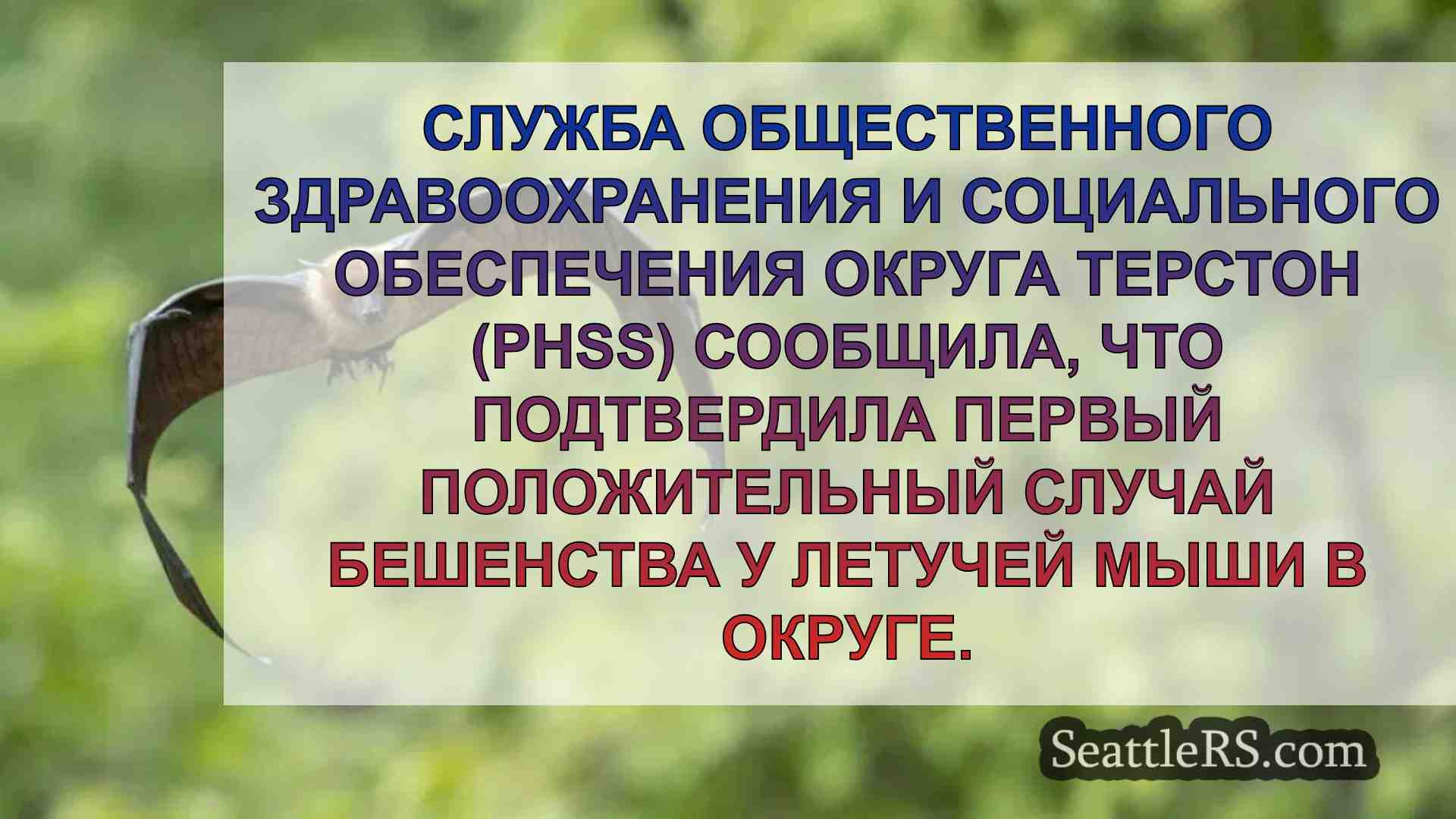Округ Терстон подтвердил положительный