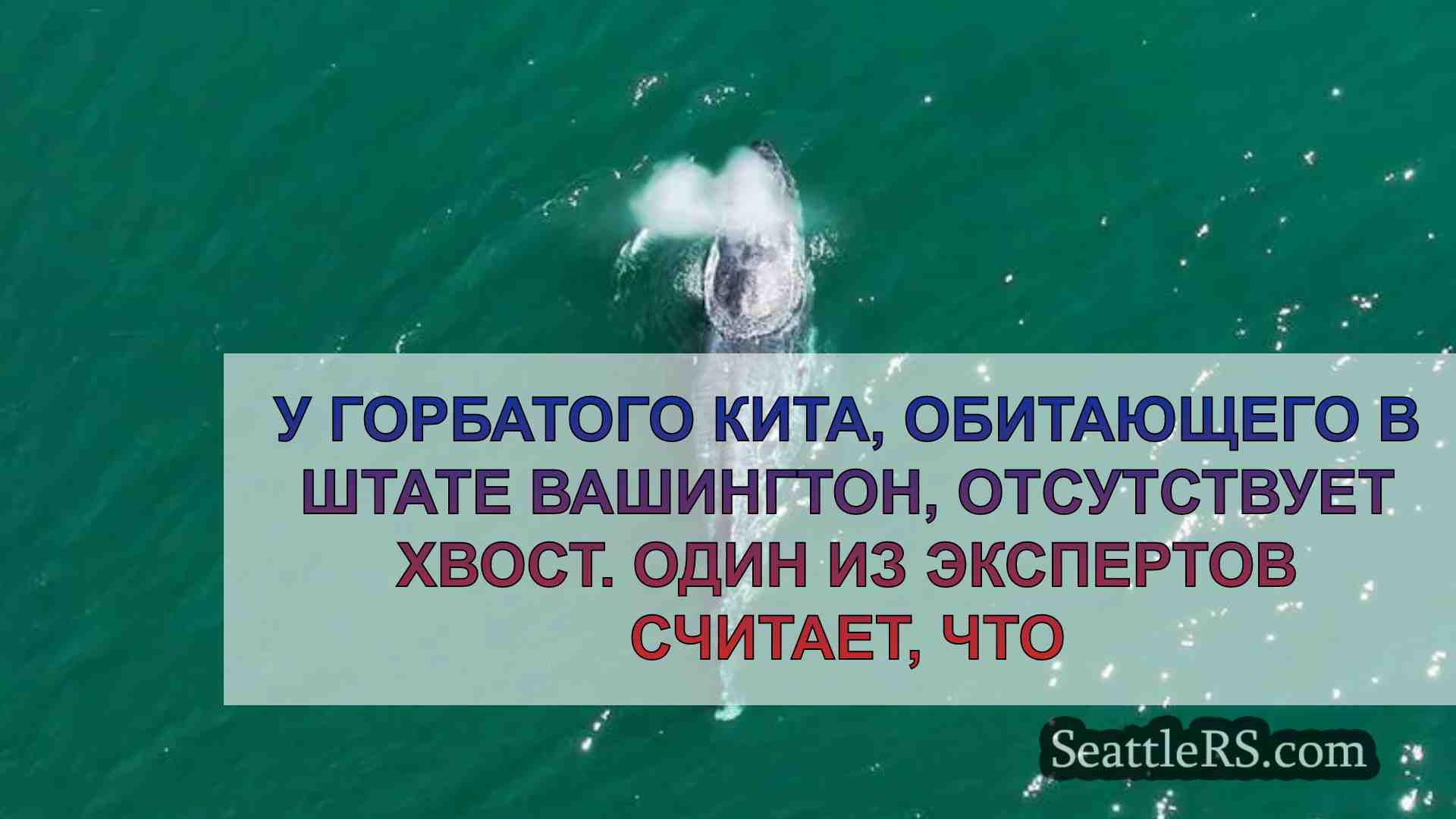 Новости Сиэтла SeattleRS