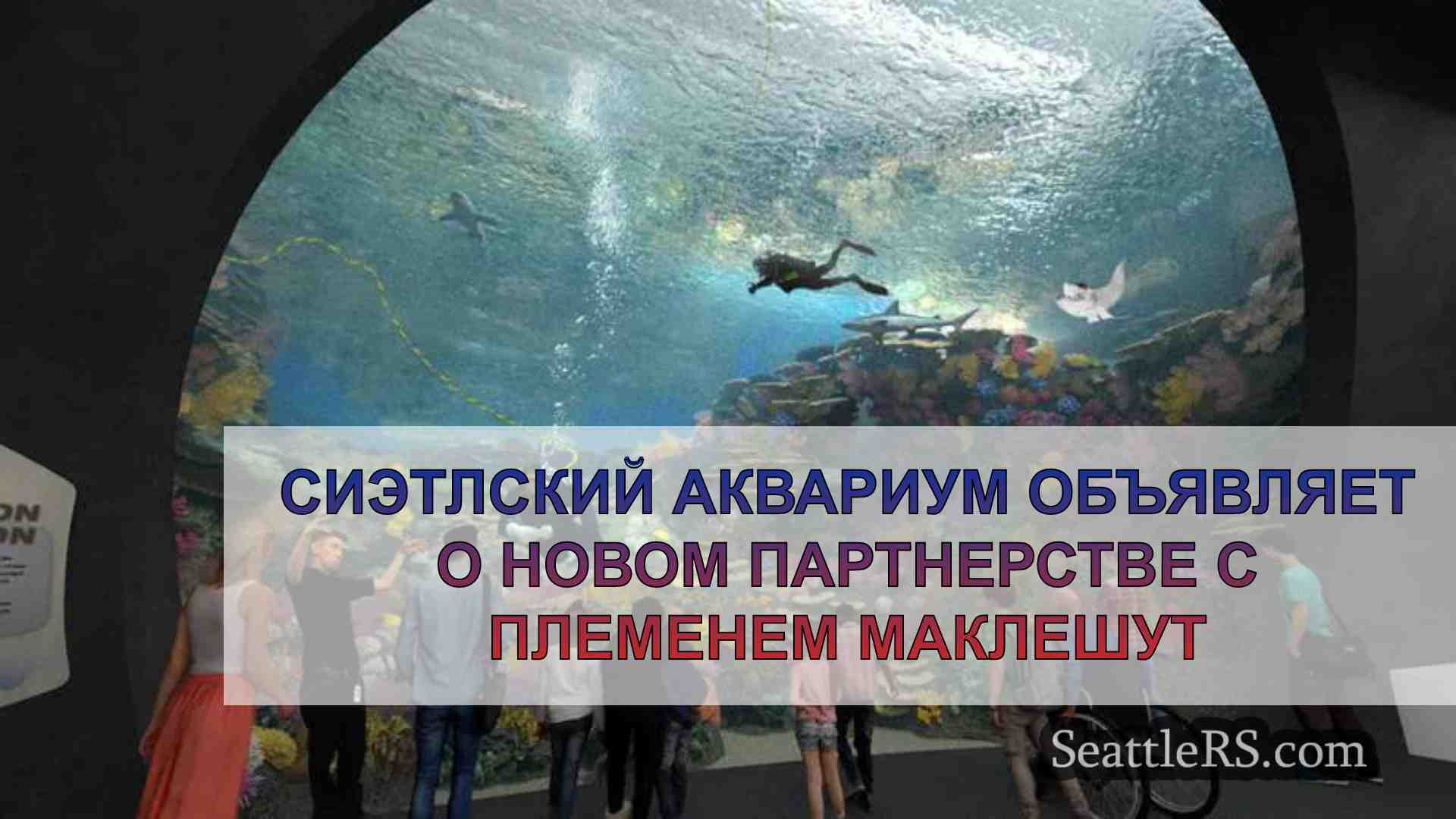 Сиэтлский аквариум объявляет о новом