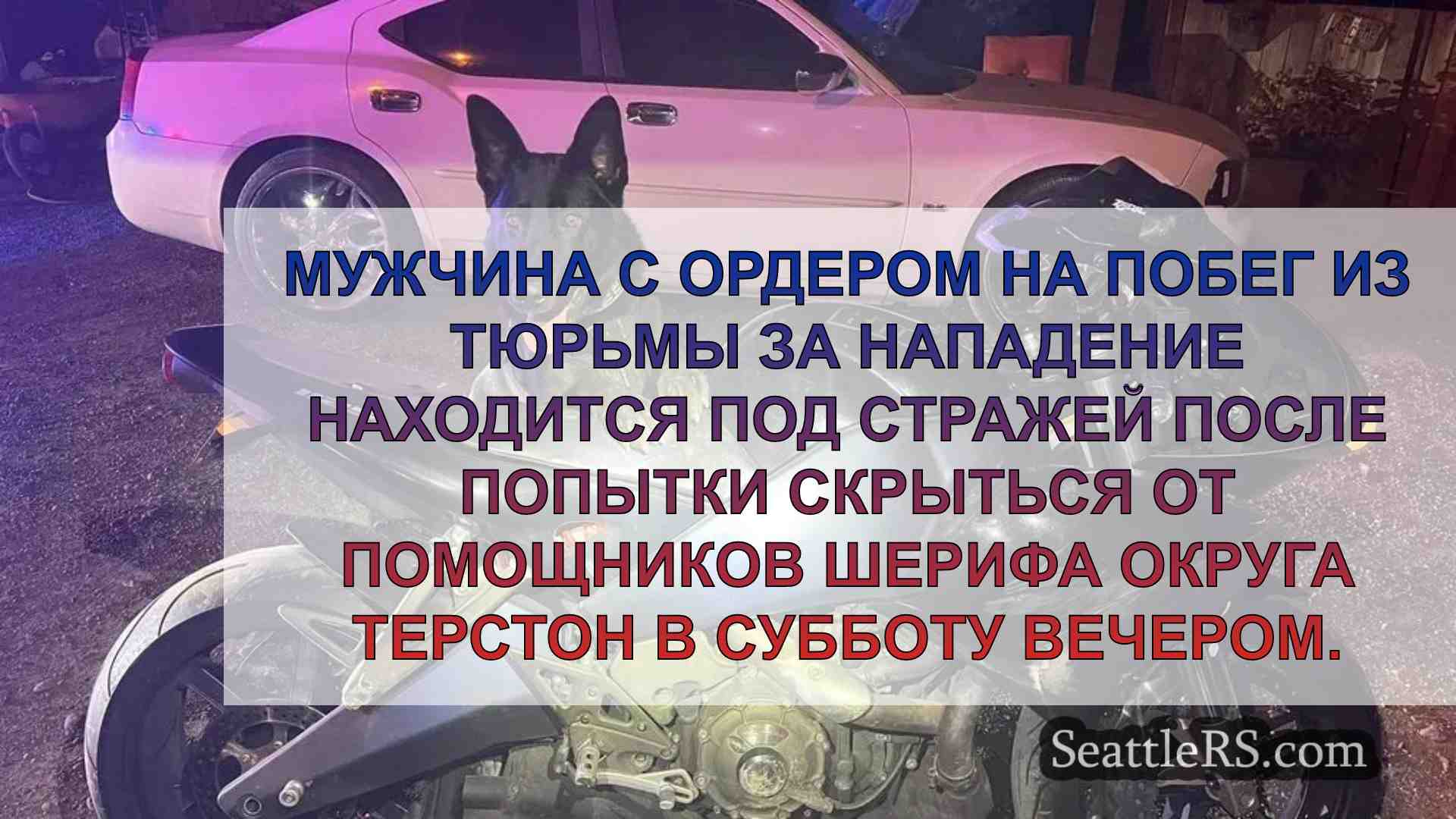 Видеозапись с камеры наблюдения