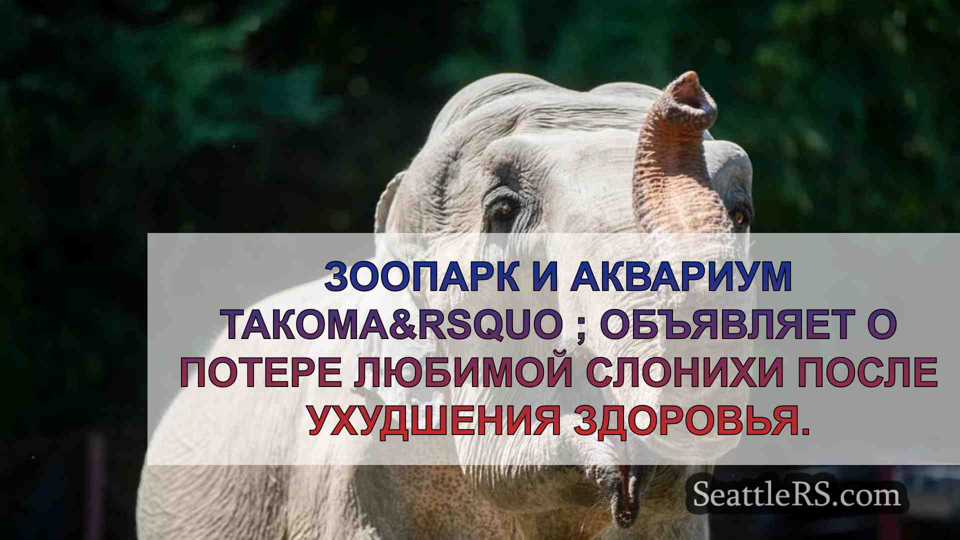 Зоопарк Пойнт-Дефайнс в Такоме скорбит