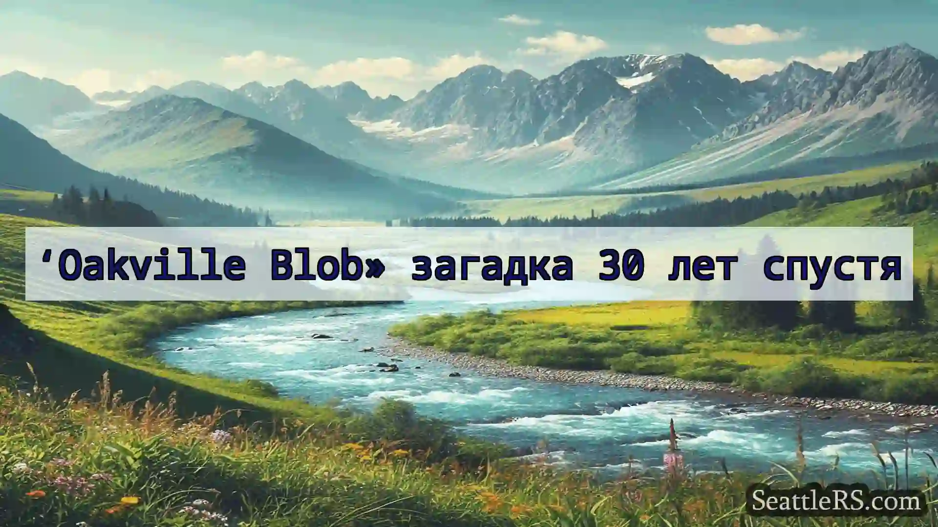 Сиэтл новости ‘Oakville Blob» загадка 30 лет