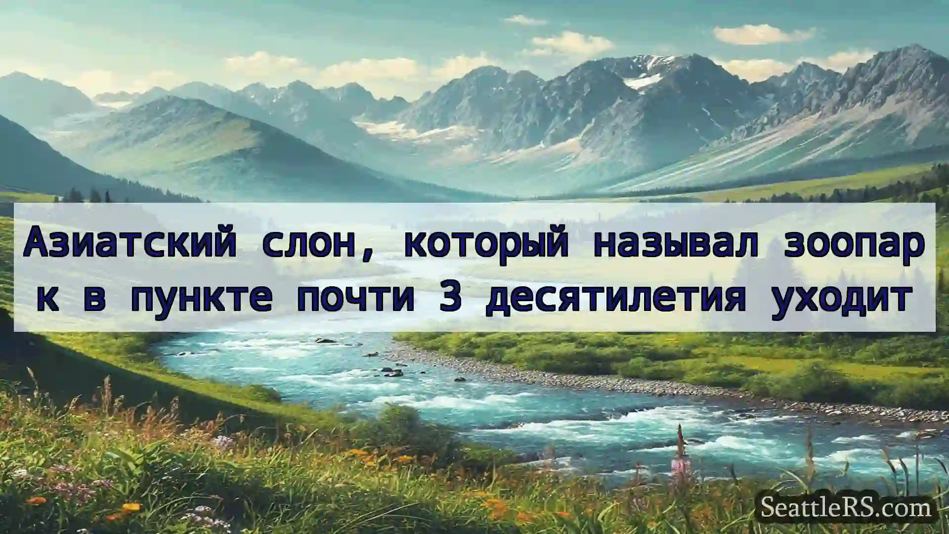 Сиэтл новости Азиатский слон, который называл