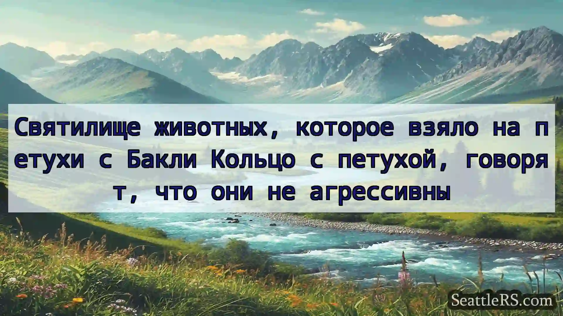 Сиэтл новости Святилище животных, которое взяло