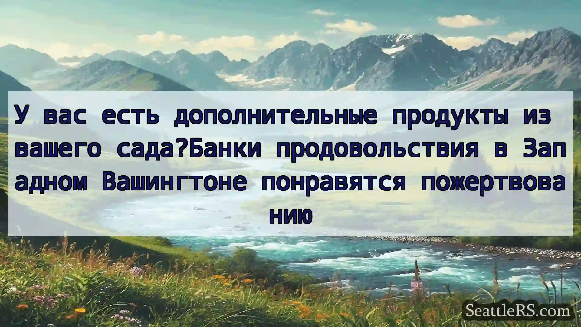 Сиэтл новости У вас есть дополнительные продукты