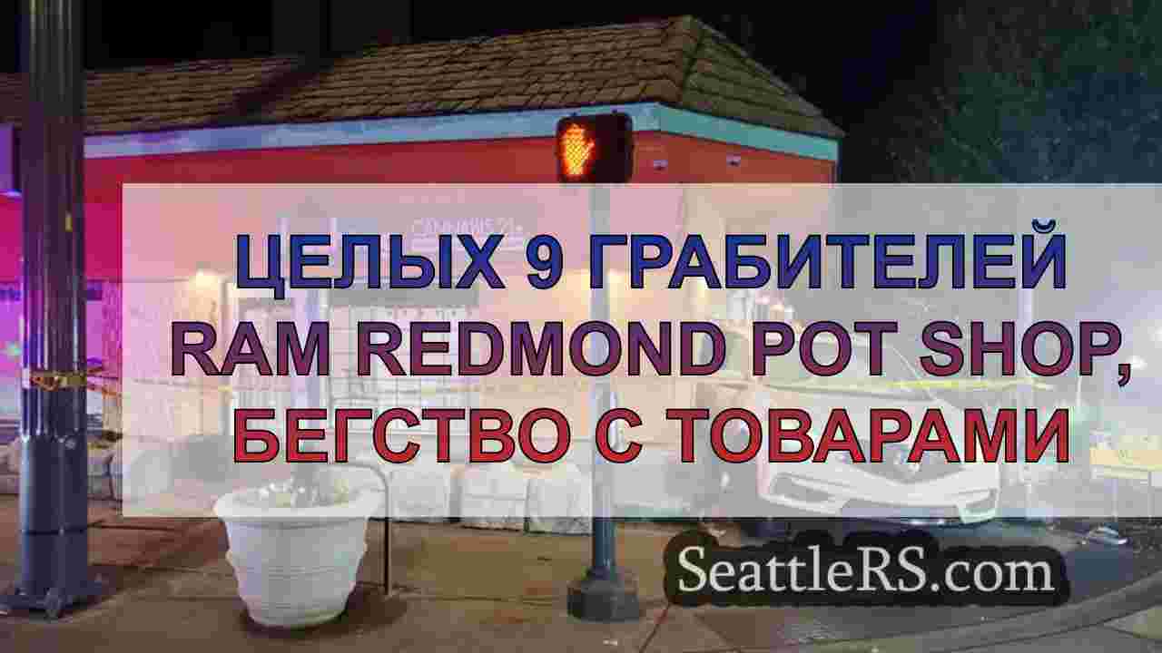 Целых 9 грабителей Ram Redmond Pot