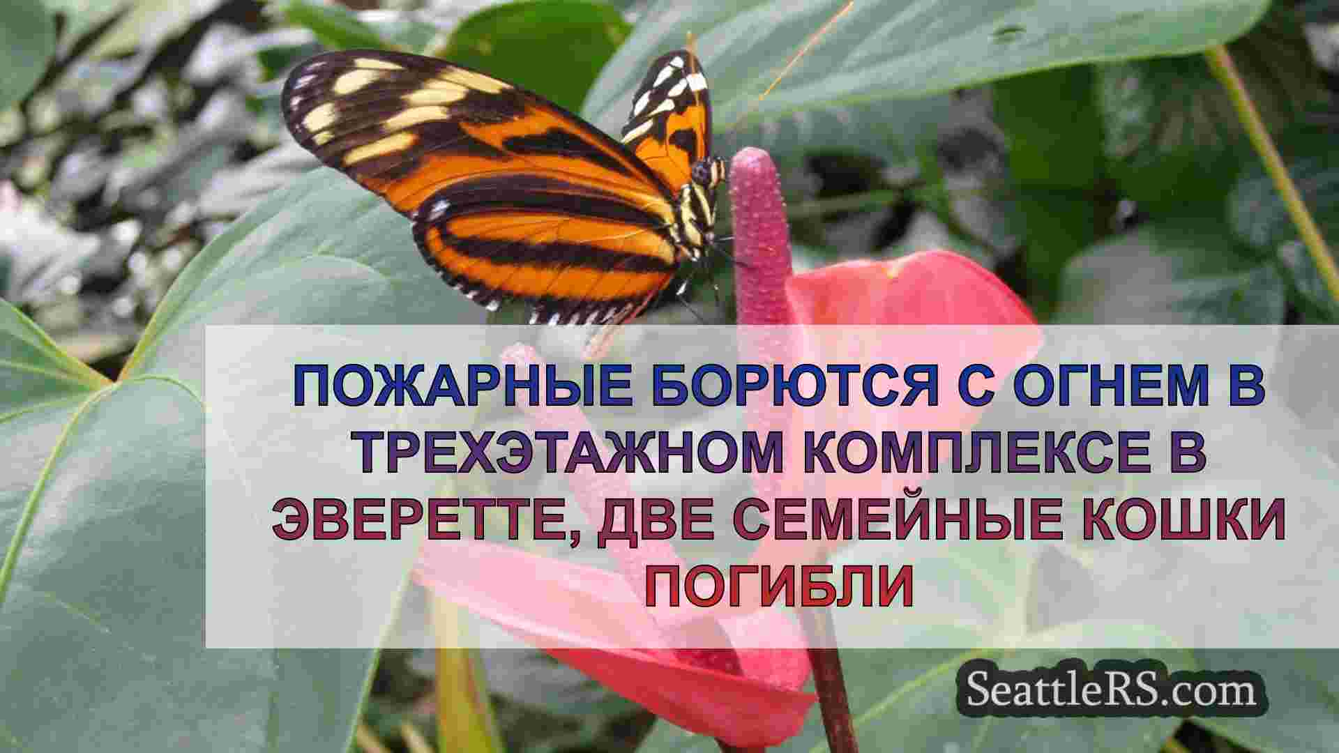 Новости Сиэтла SeattleRS