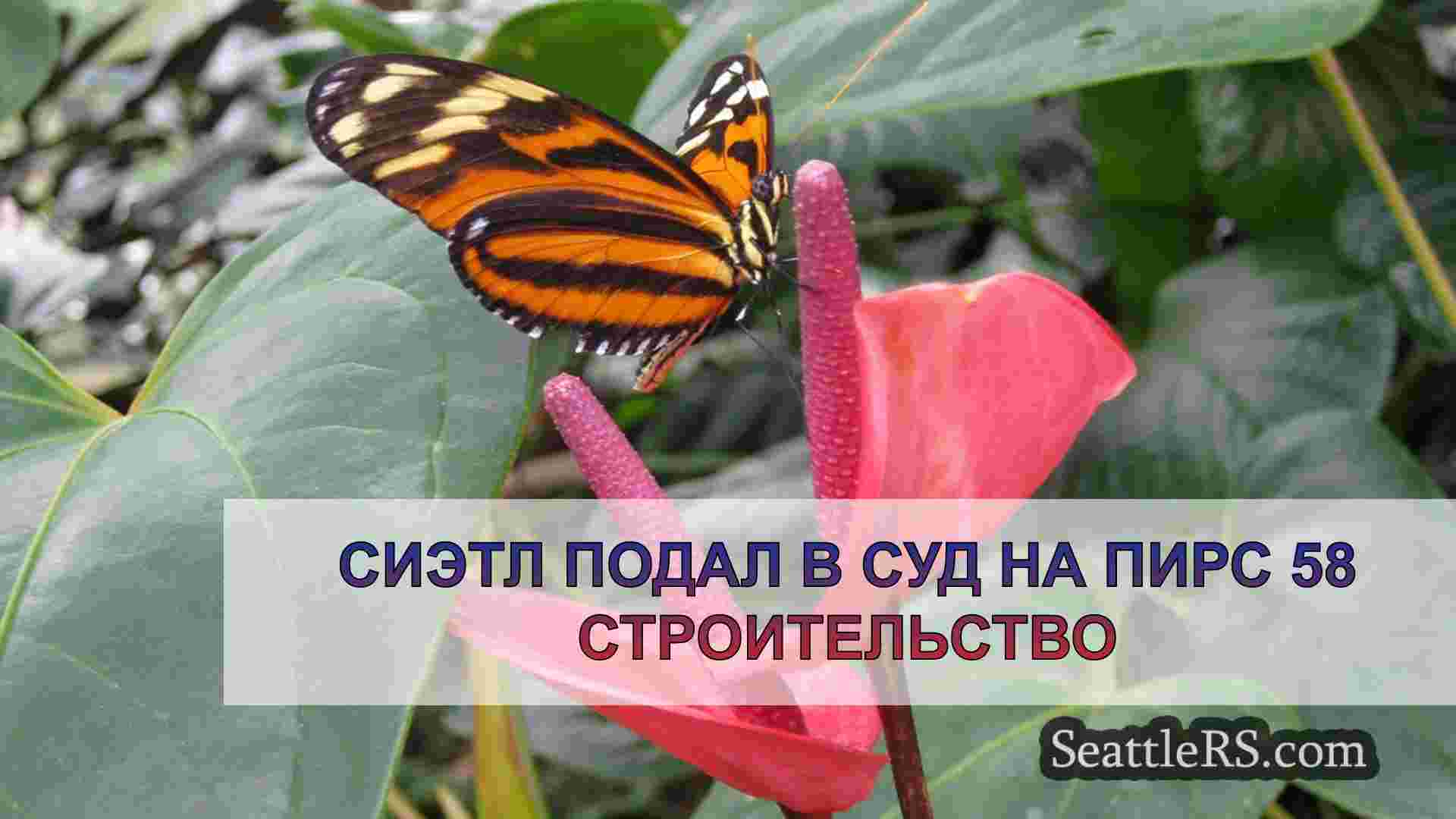 Сиэтл подал в суд на пирс 58
