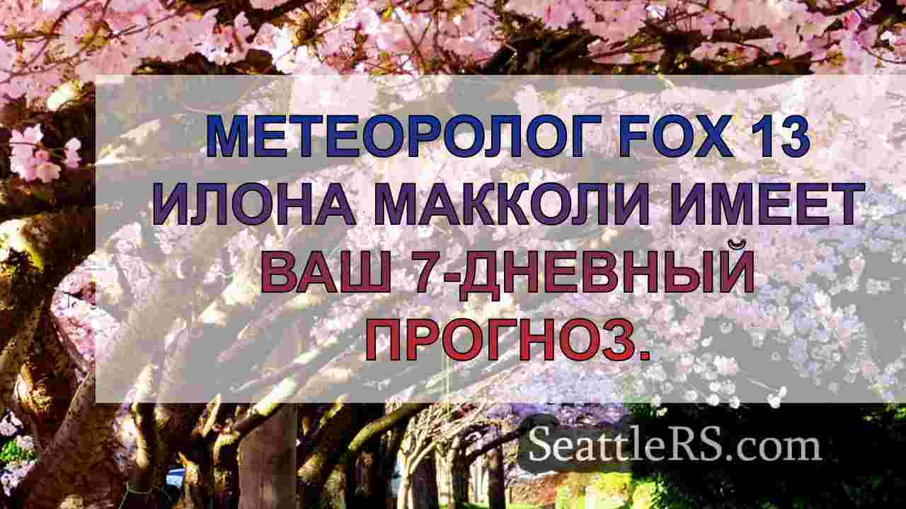 Погода в Сиэтле: прохладные выходные