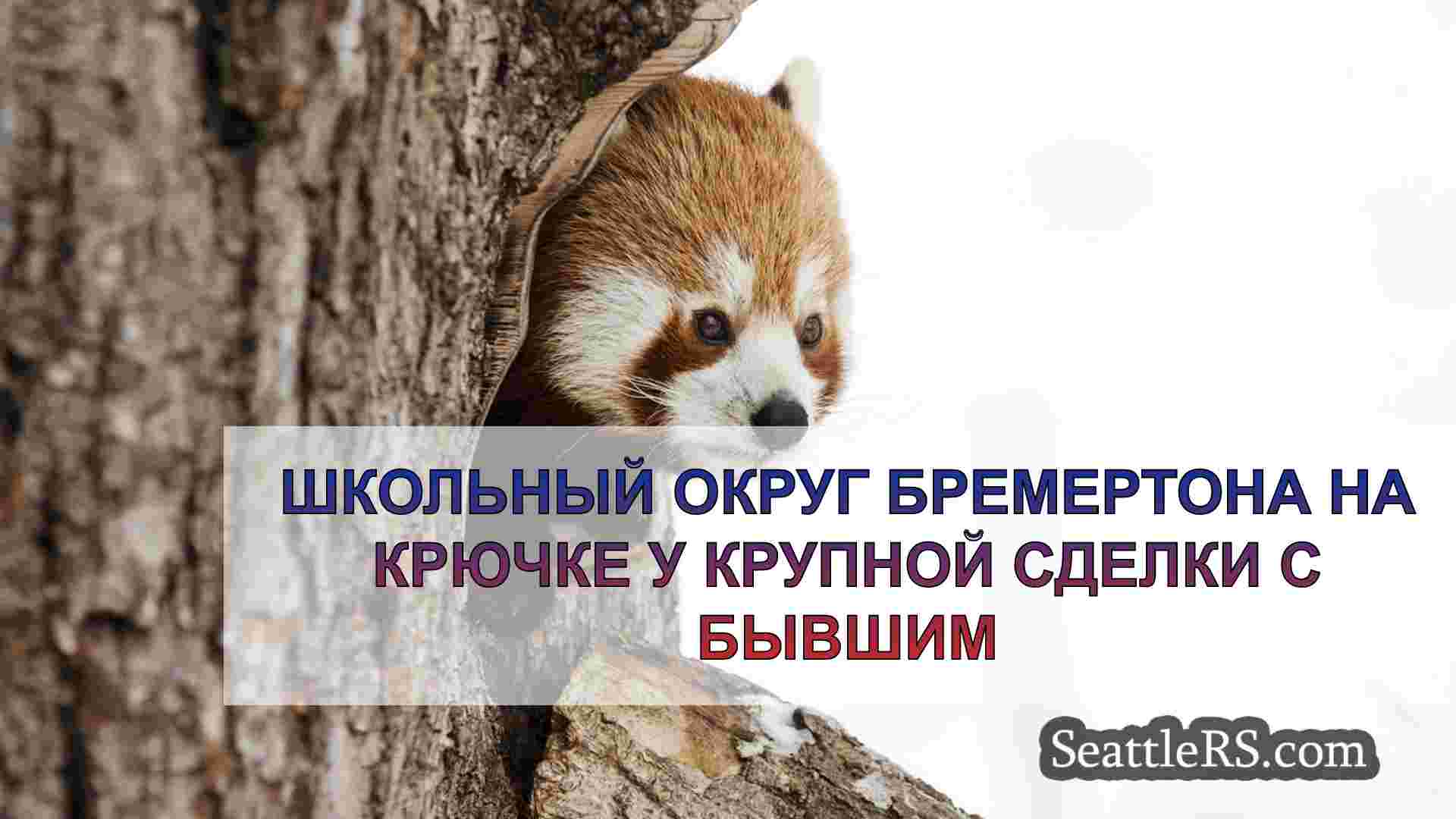 Новости Сиэтла SeattleRS