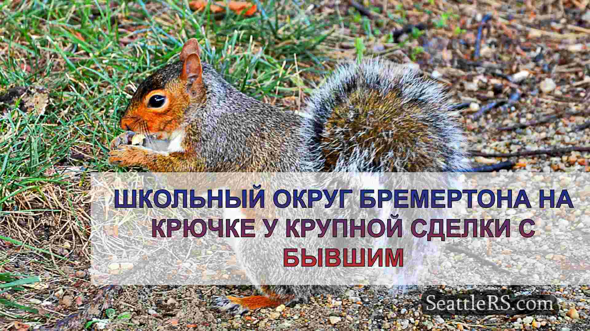 Новости Сиэтла SeattleRS