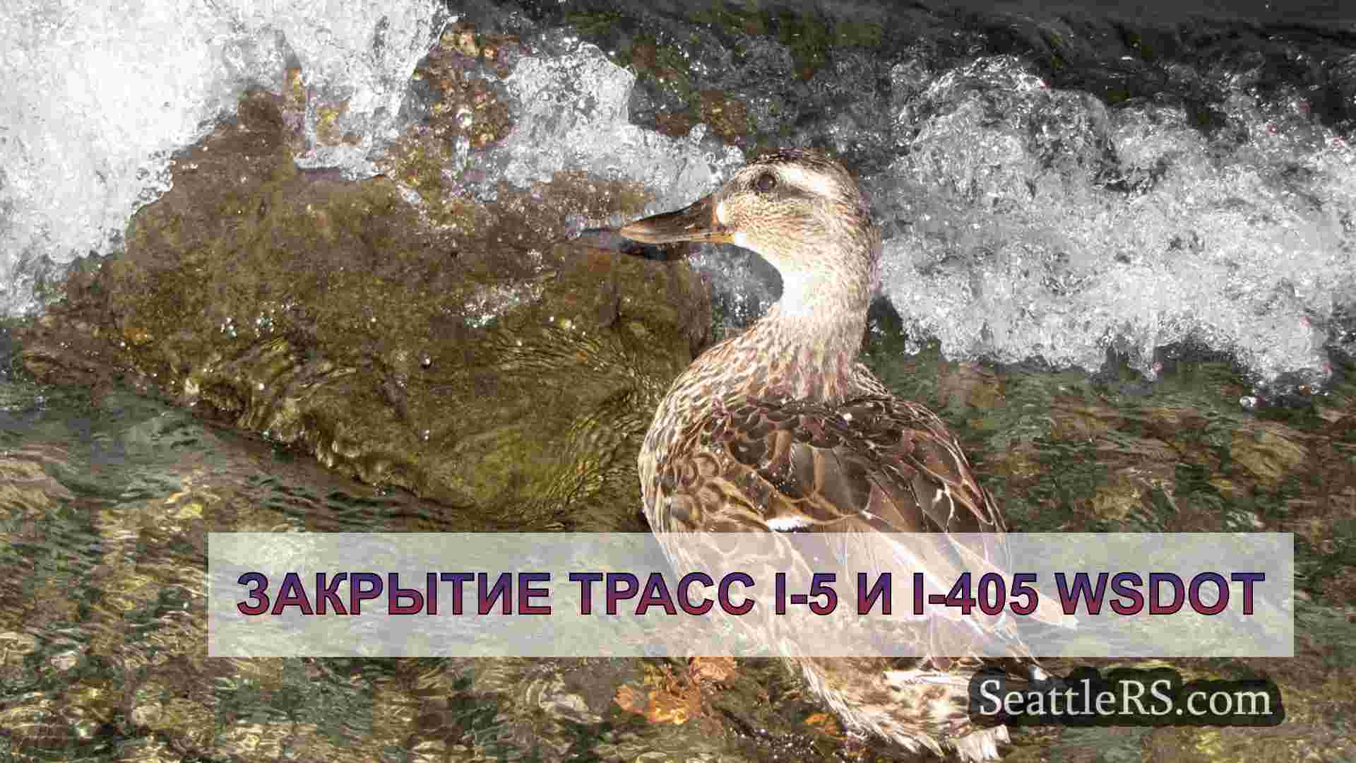 Выходные с двойными неприятностями:
