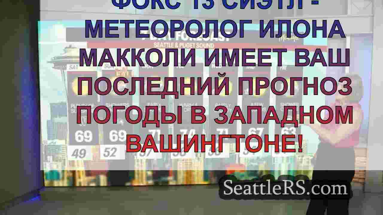Погода в Сиэтле: души на первый день
