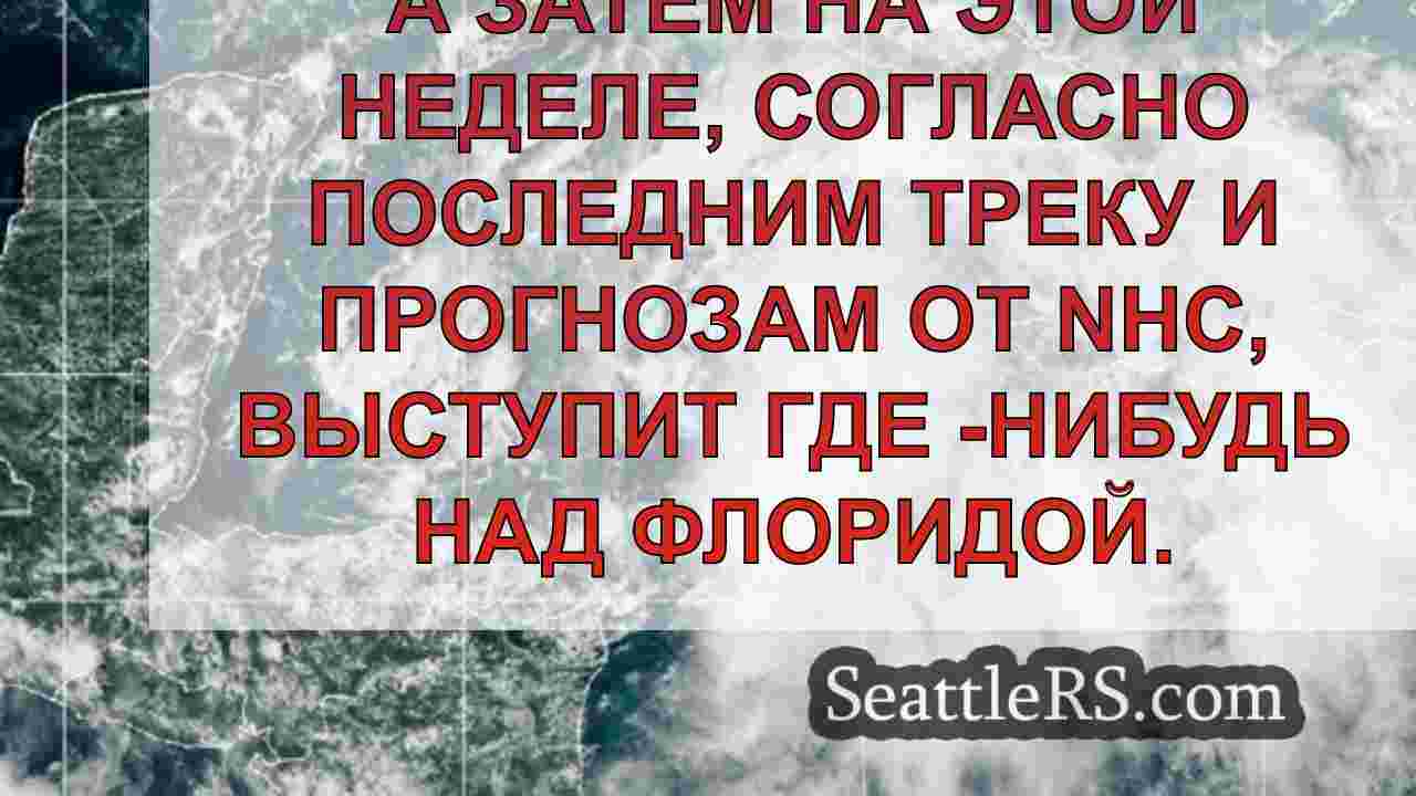 Живые обновления: формы Tropical Storm