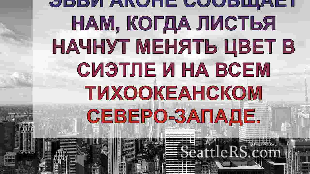 Новости Сиэтла SeattleRS